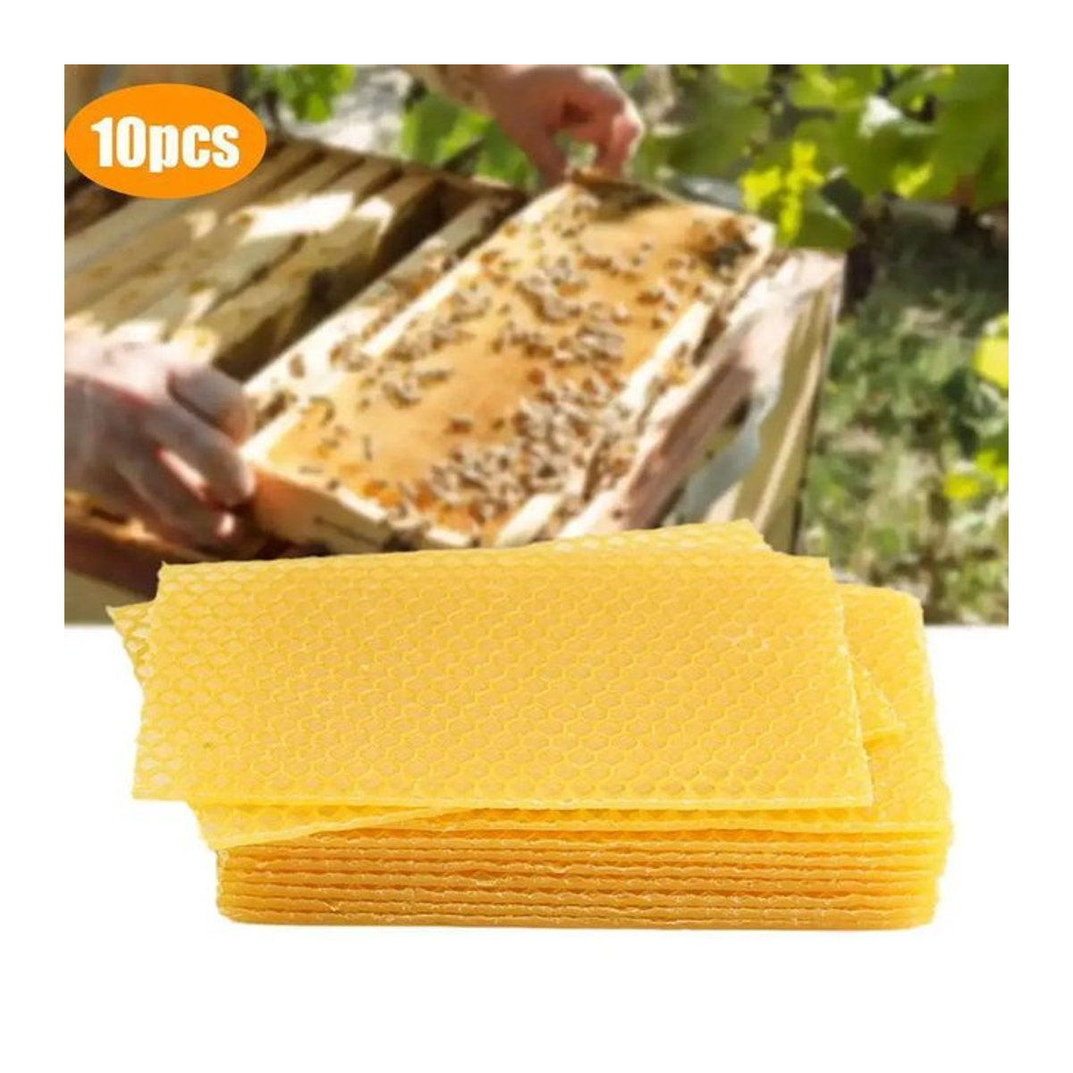 10 Stück gelbe Waben-Grundierungswachsrahmen für die Bienenzucht - Bild 1