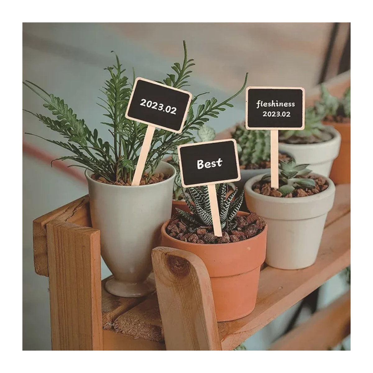 10 Stück Kreative Gartenmarker für Sukkulenten und Blumen als Tafel-Pflanzenetiketten mit Pfählen - Bild 1