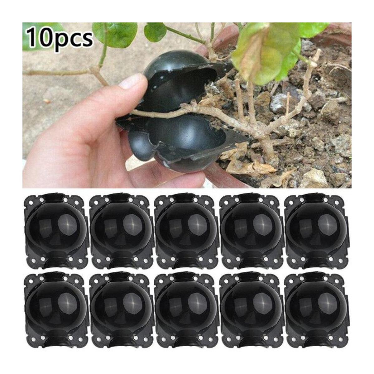 10 Stück Wiederverwendbare Pflanzenbewurzelungsbälle zur Hochdruck-Vermehrung für Obstbäume und Sämlinge, Schwarz, Durchmesser: 5 cm - Bild 1