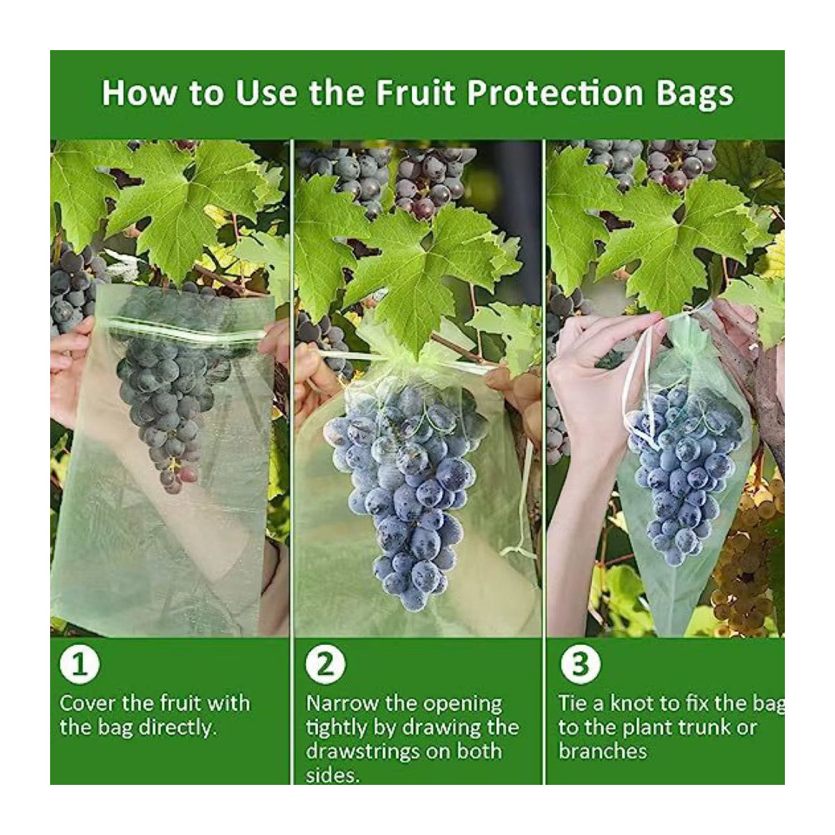 100 Stück Obstschutzbeutel zur Schädlingsbekämpfung und als Anti-Vogel-Gartennetz für Erdbeeren, Trauben, Pflanzen und Gemüse - Bild 3