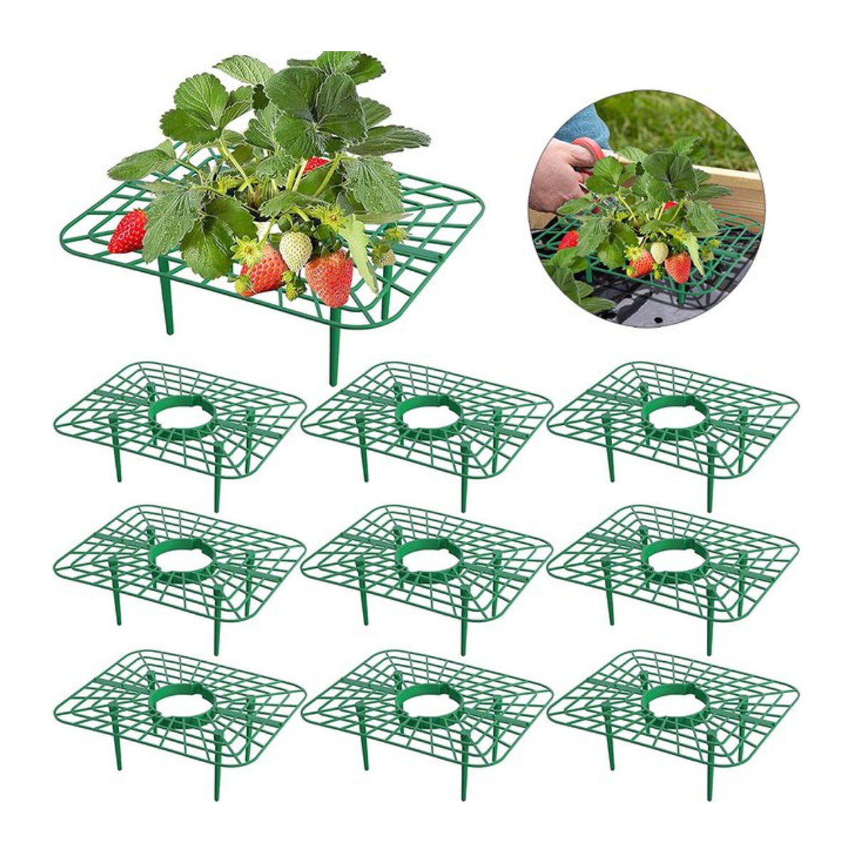 10er-Pack quadratische Erdbeer-Stützständer als wachsender Rahmen zur Reinigung von Beeren - Bild 1