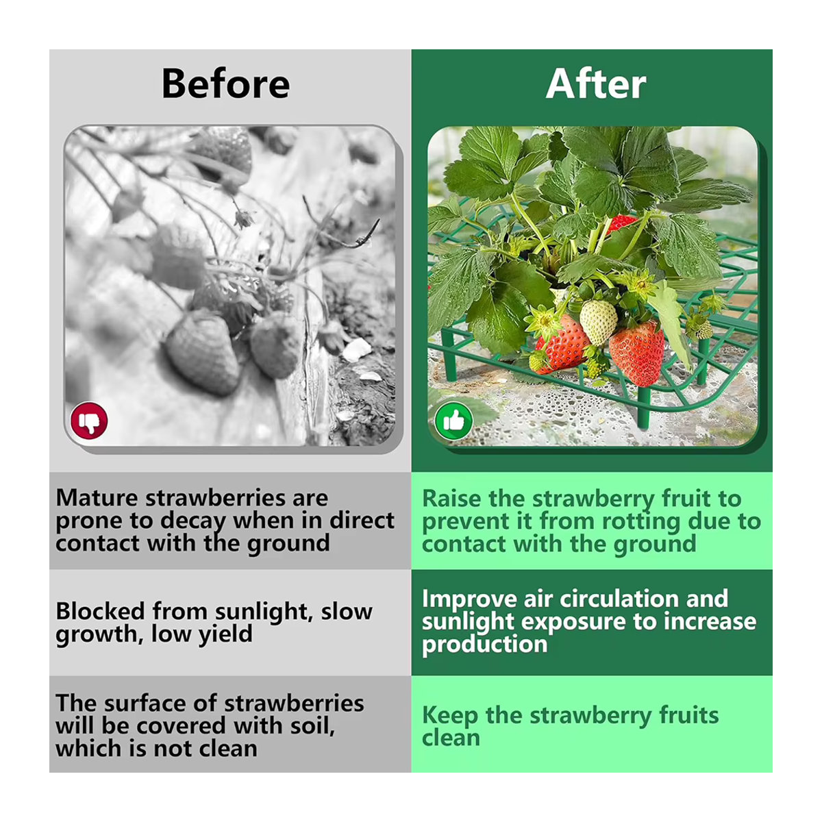 10er-Pack quadratische Erdbeer-Stützständer als wachsender Rahmen zur Reinigung von Beeren - Bild 5
