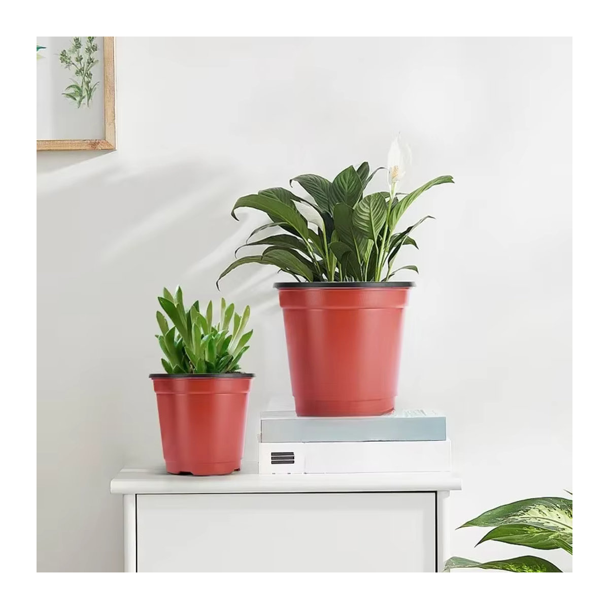 10er Set Kunststoff Pflanztöpfe für Sämlinge und Gartenpflanzen Indoor und Outdoor - Bild 3