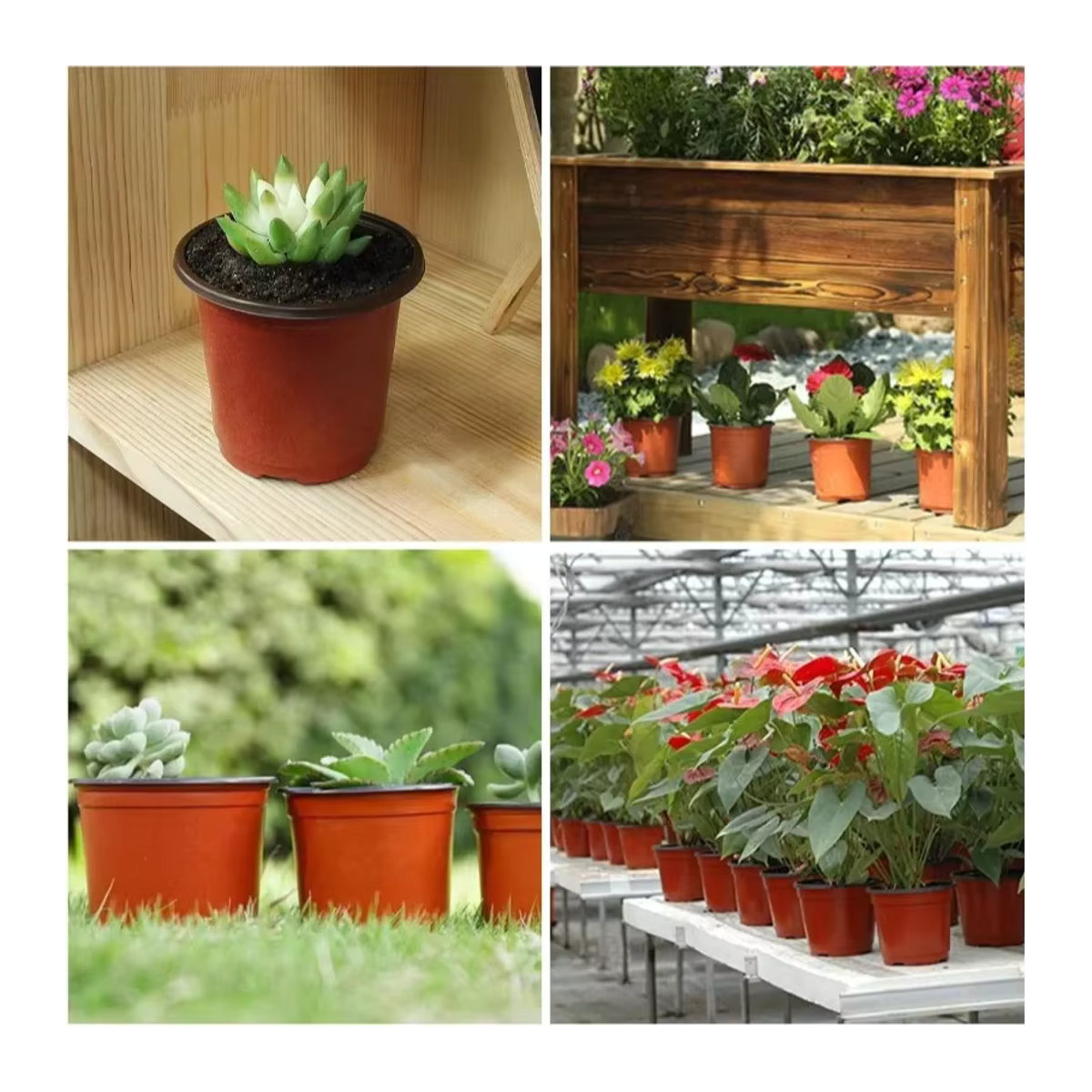 10er Set Kunststoff Pflanztöpfe für Sämlinge und Gartenpflanzen Indoor und Outdoor - Bild 4