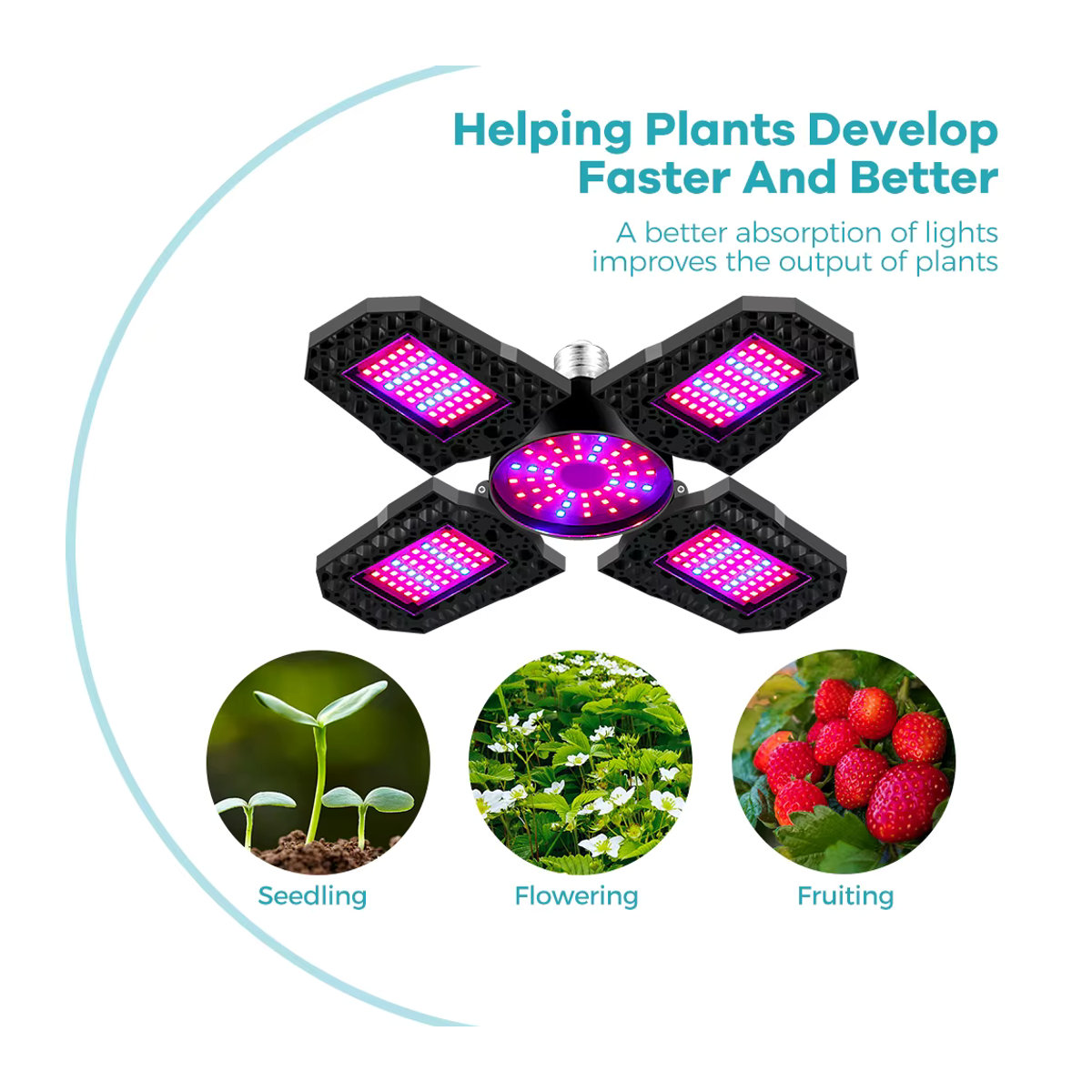 150 W LED-Wachstumslicht mit E27-Sockel, faltbare Vollspektrum-Phyto-Lampe für Hydrokultur, Blüten und Gemüse - Bild 2