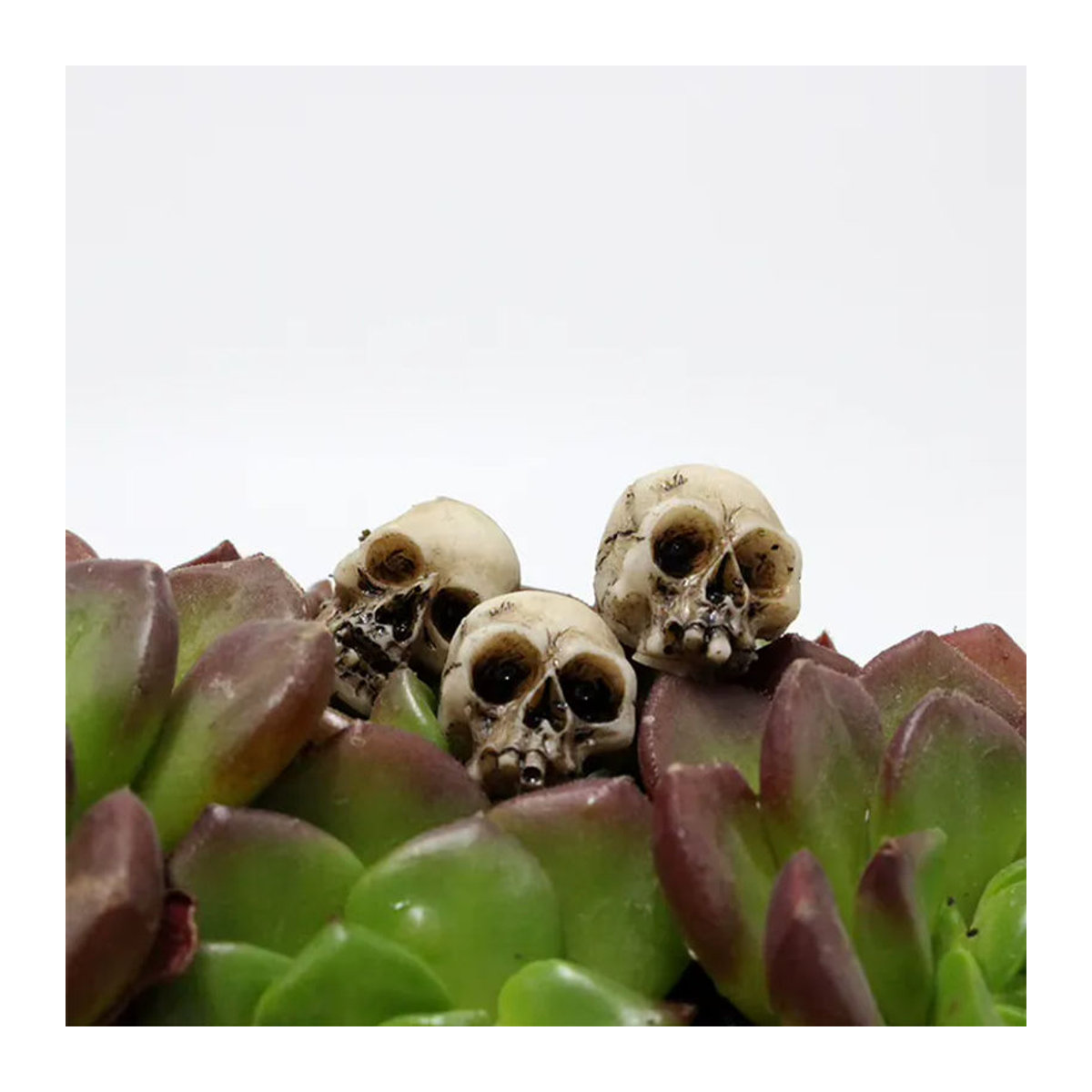 20 Stück APWIKOGER Totenkopf-Skulpturen aus Kunstharz in Grau und Beige als Halloween-Miniatur-Dekoration für den Garten - Bild 4