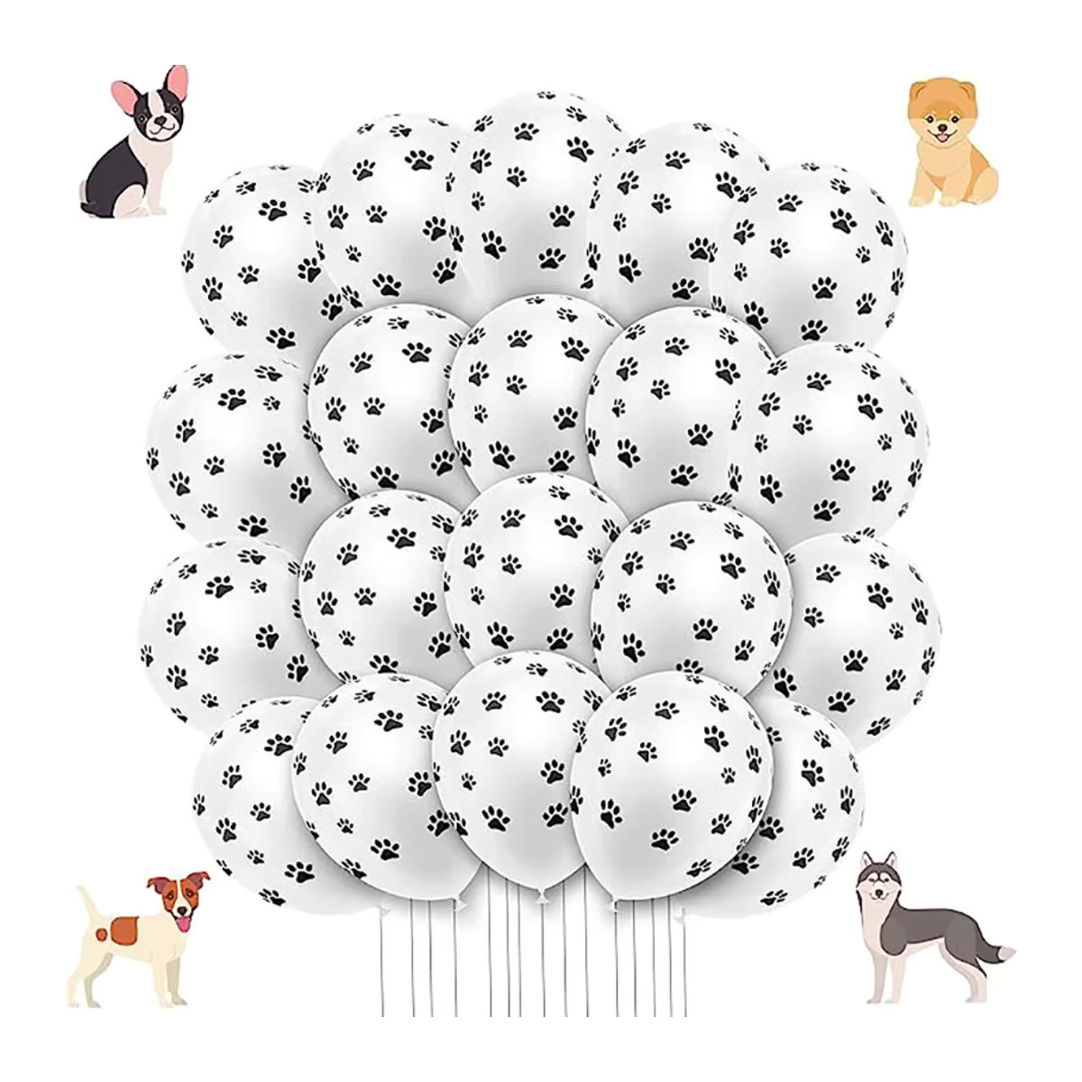 20 Stück BALONAQ Latex Luftballons mit Hundepfoten-Print in Schwarz und Weiß für Kindergeburtstage und Babypartys, Durchmesser: 30,48 cm - Bild 3