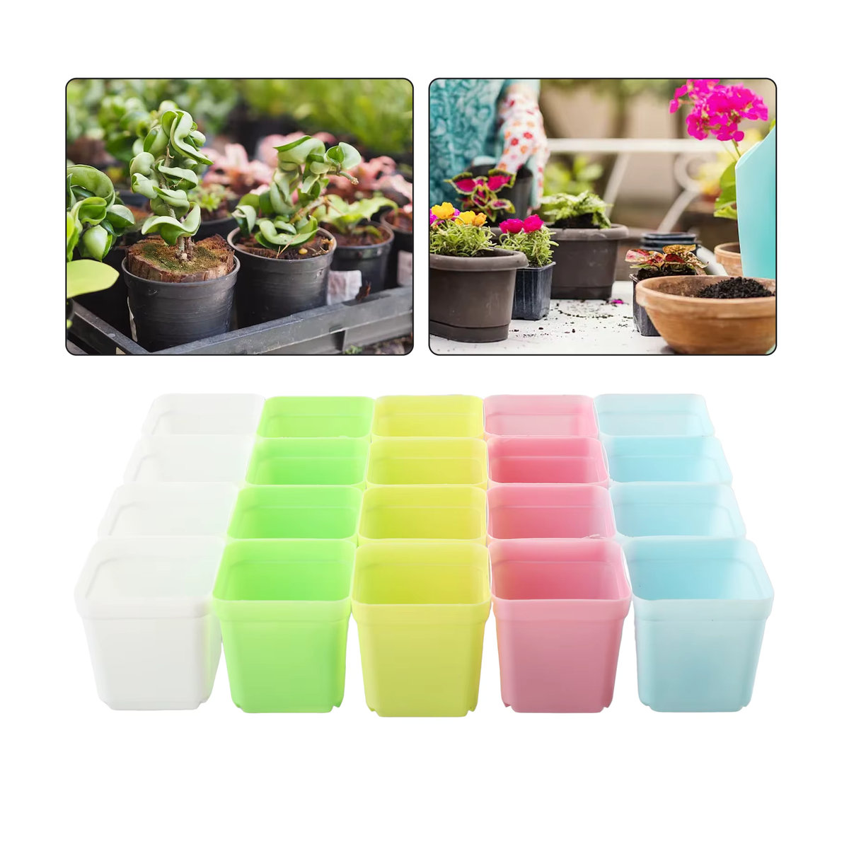 20 Stück Mini quadratische Blumentöpfe aus Kunststoff von LEENKEA in Mehrfarbig für Sukkulenten und DIY-Gartendekoration - Bild 3