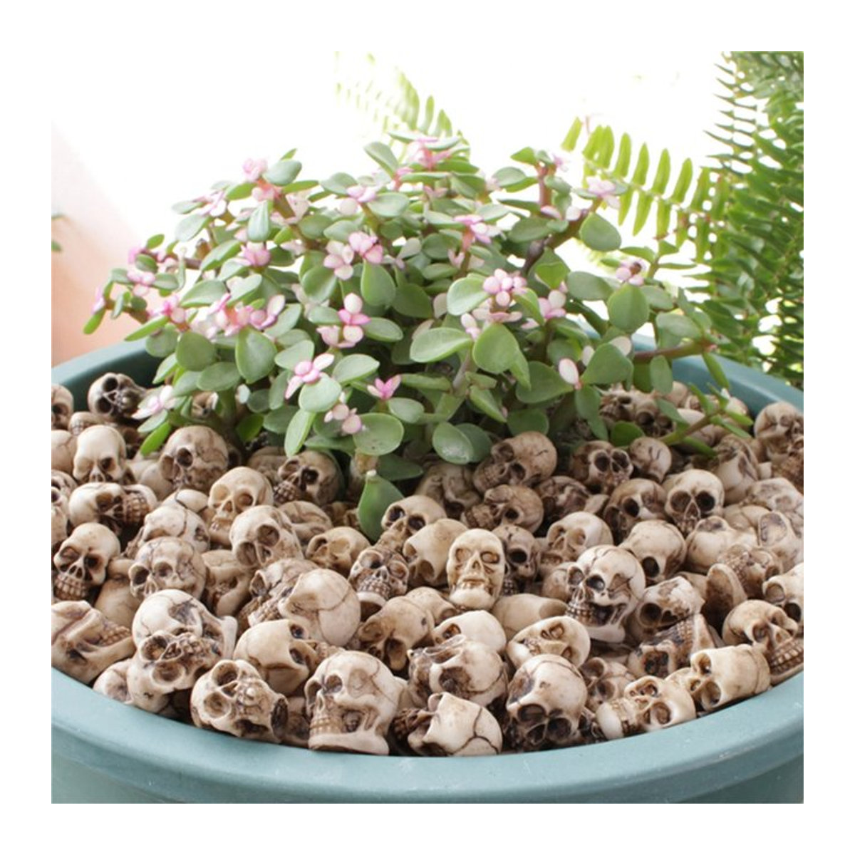 20 Stück Mini Schädel Figuren von VKTECH in Beige aus Kunstharz für Halloween Dekoration und Gartenlandschaften - Bild 1