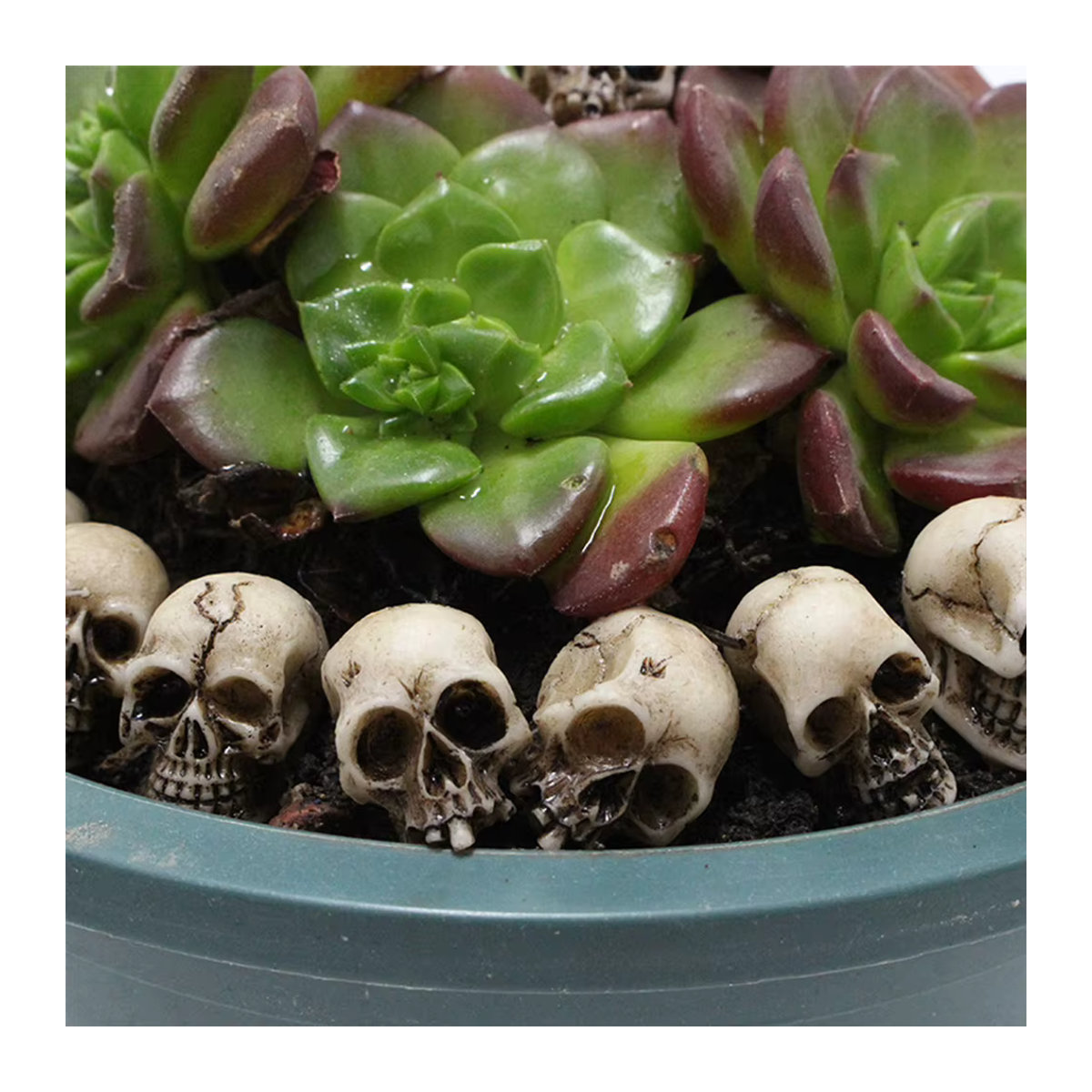 20 Stück Mini Schädel Figuren von VKTECH in Beige aus Kunstharz für Halloween Dekoration und Gartenlandschaften - Bild 4