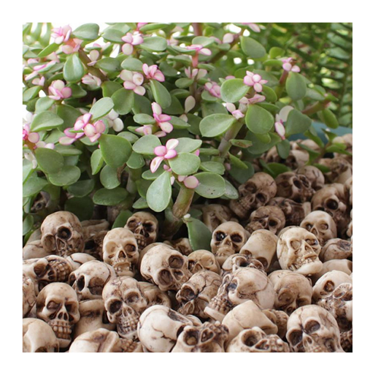 20 Stück Mini-Schädel von Ephemeral als beige Halloween-Gartendekoration aus Kunstharz für Bonsai und Blumentöpfe - Bild 4