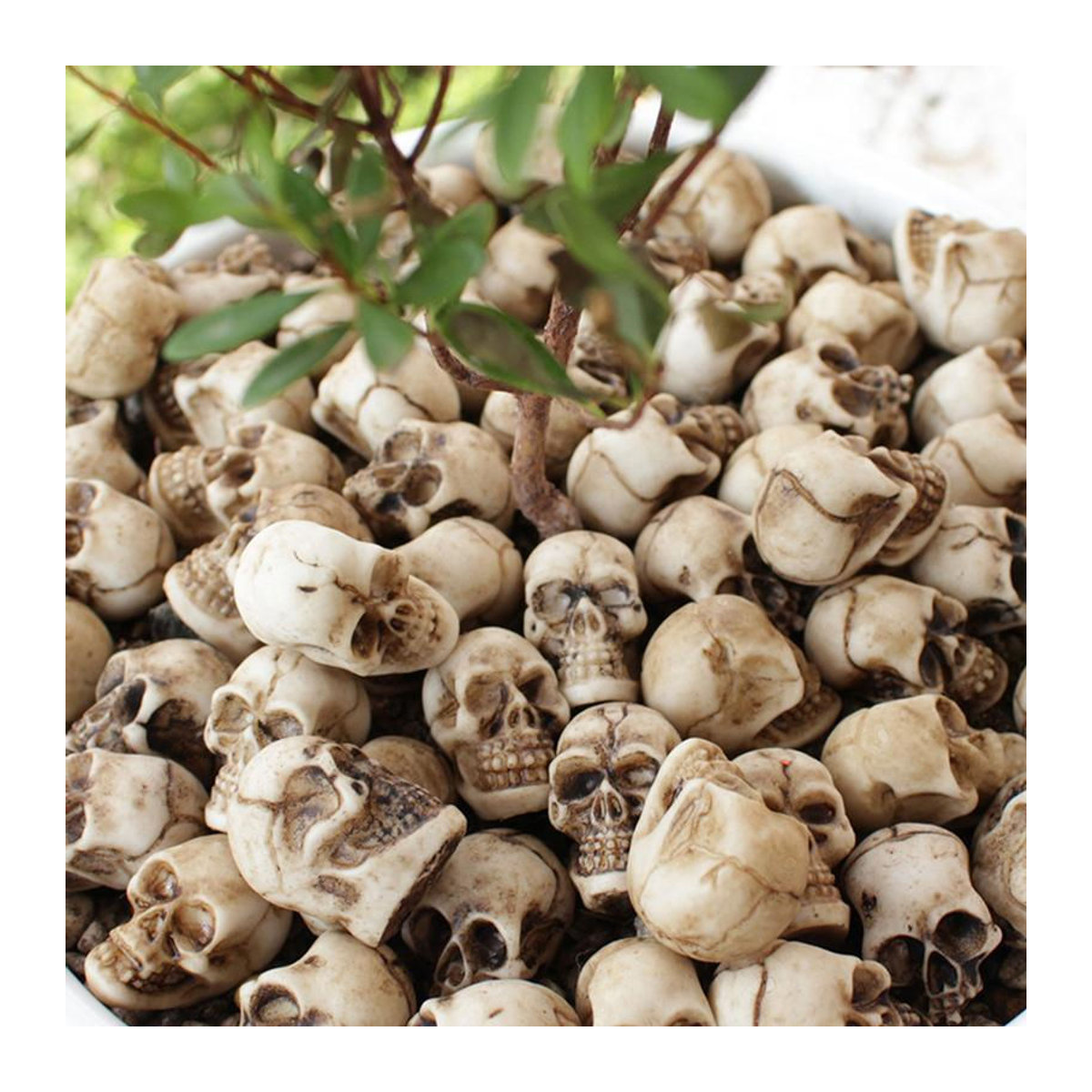 20 Stück Mini-Schädel von Ephemeral als beige Halloween-Gartendekoration aus Kunstharz für Bonsai und Blumentöpfe - Bild 5
