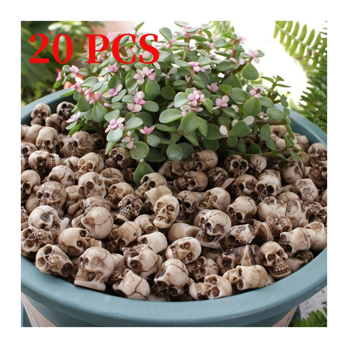 20 Stück realistische kleine Schädel als Halloween Garten Dekoration in Weiß für Blumentöpfe und Bonsai - Bild 1