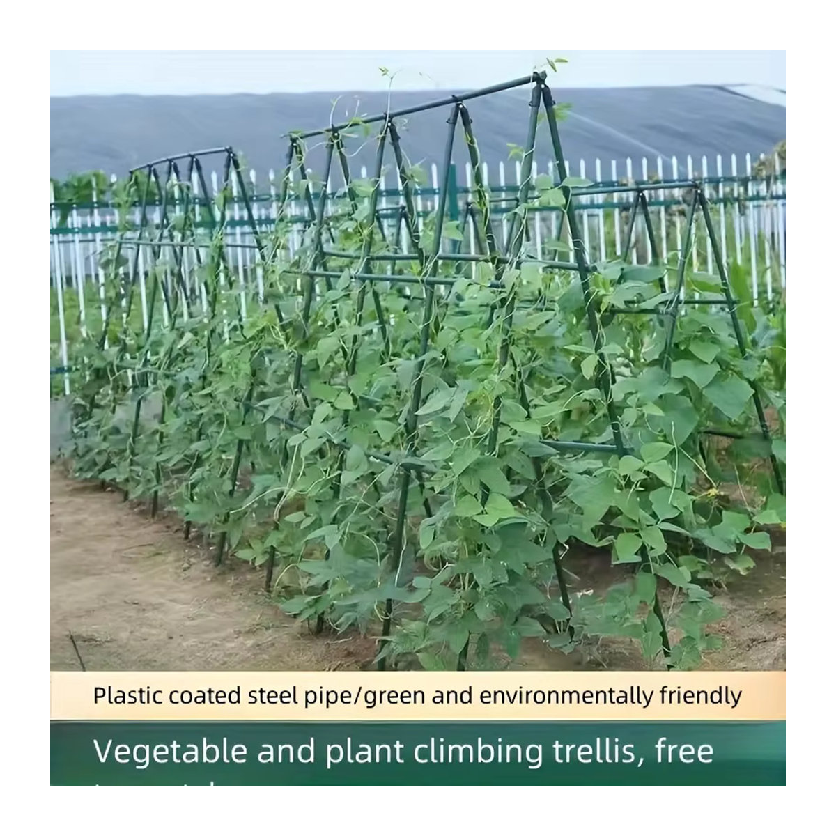 20-teiliges Set Mehrzweck-Gartenpfähle zur Unterstützung von Gemüse, Reben und Trauben wie Tomaten und Gurken - Bild 3