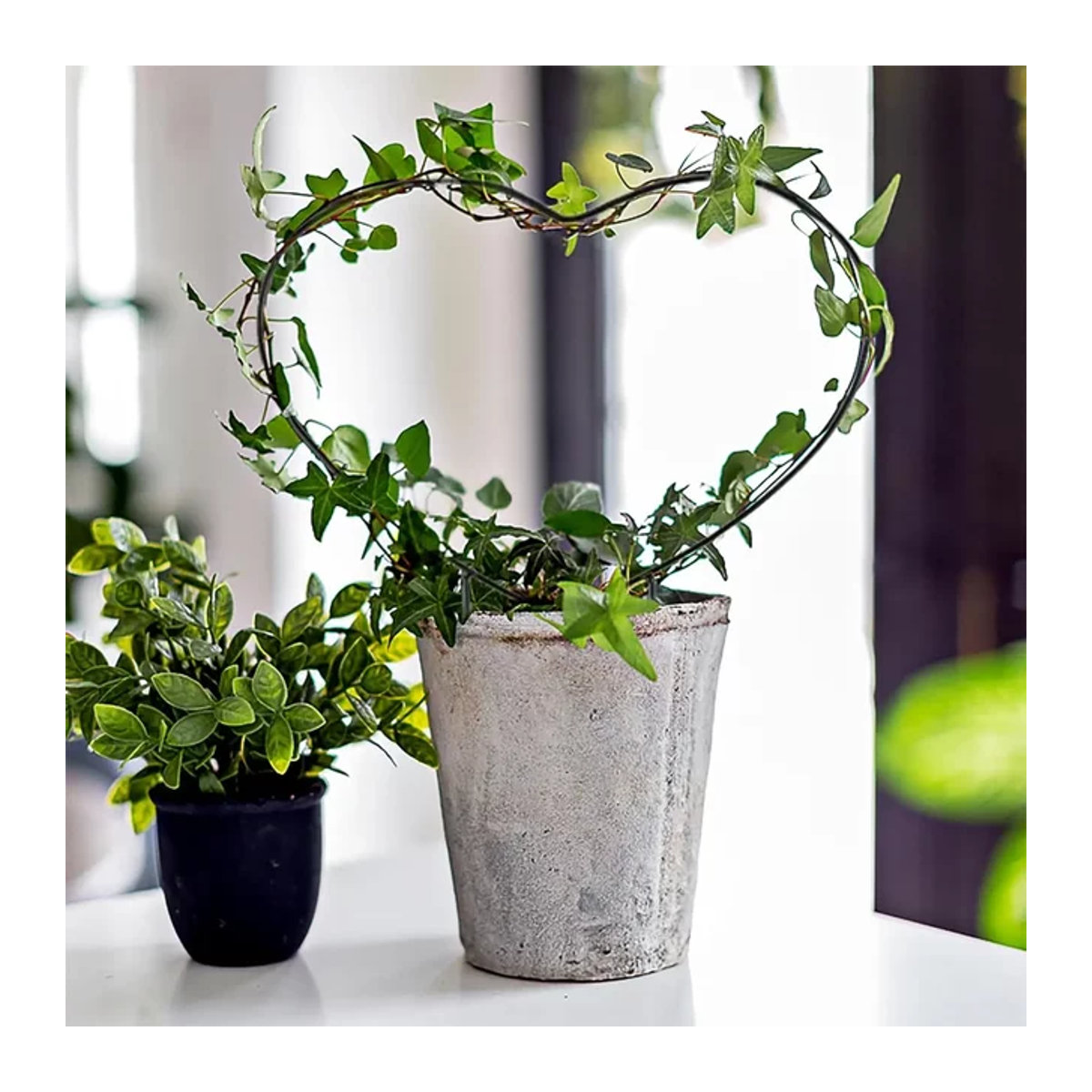 2er-Set Metall Garten Gitter Pflanzenkäfig Herzform als Rankhilfe für Reben, Blumen und Efeu, Höhe: 24,13 cm - Bild 1