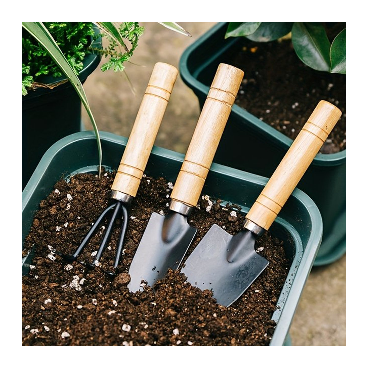 3-teiliges Gartenwerkzeug-Set aus Aluminiumlegierung mit Rechen, Schaufel und Mini-Blumenschaufel für Sukkulenten und Gartenarbeit - Bild 1