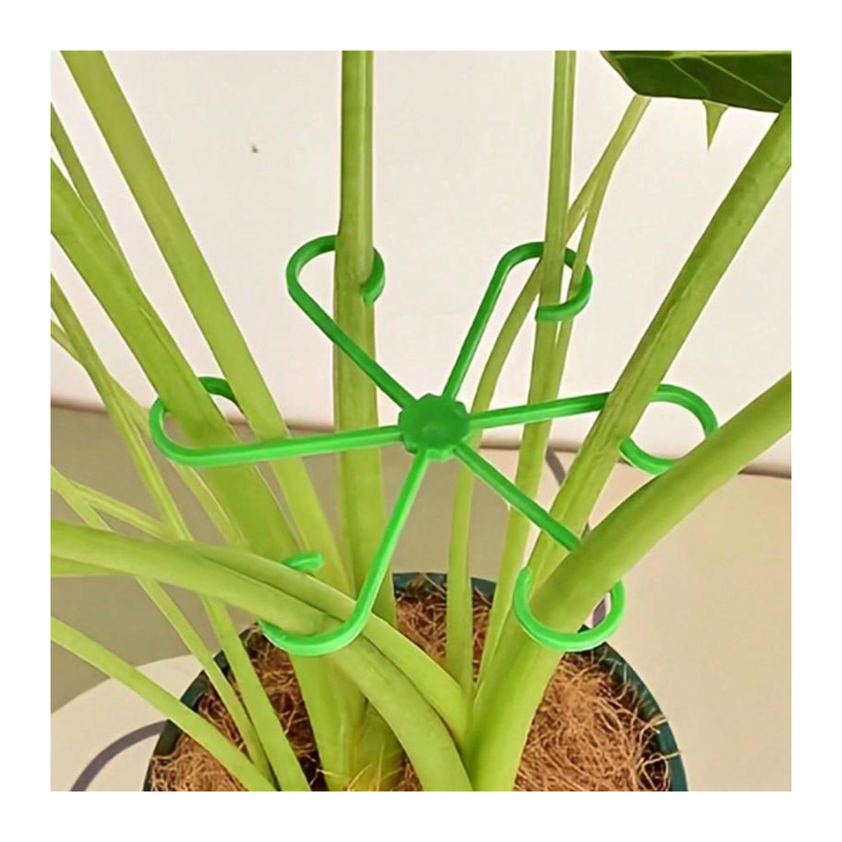 4 Stück Pflanzenstützclips von yuyongzhi, robuste Stielklemmen aus Kunststoff für Kletterpflanzen und Indoor-Pflanzen - Bild 3