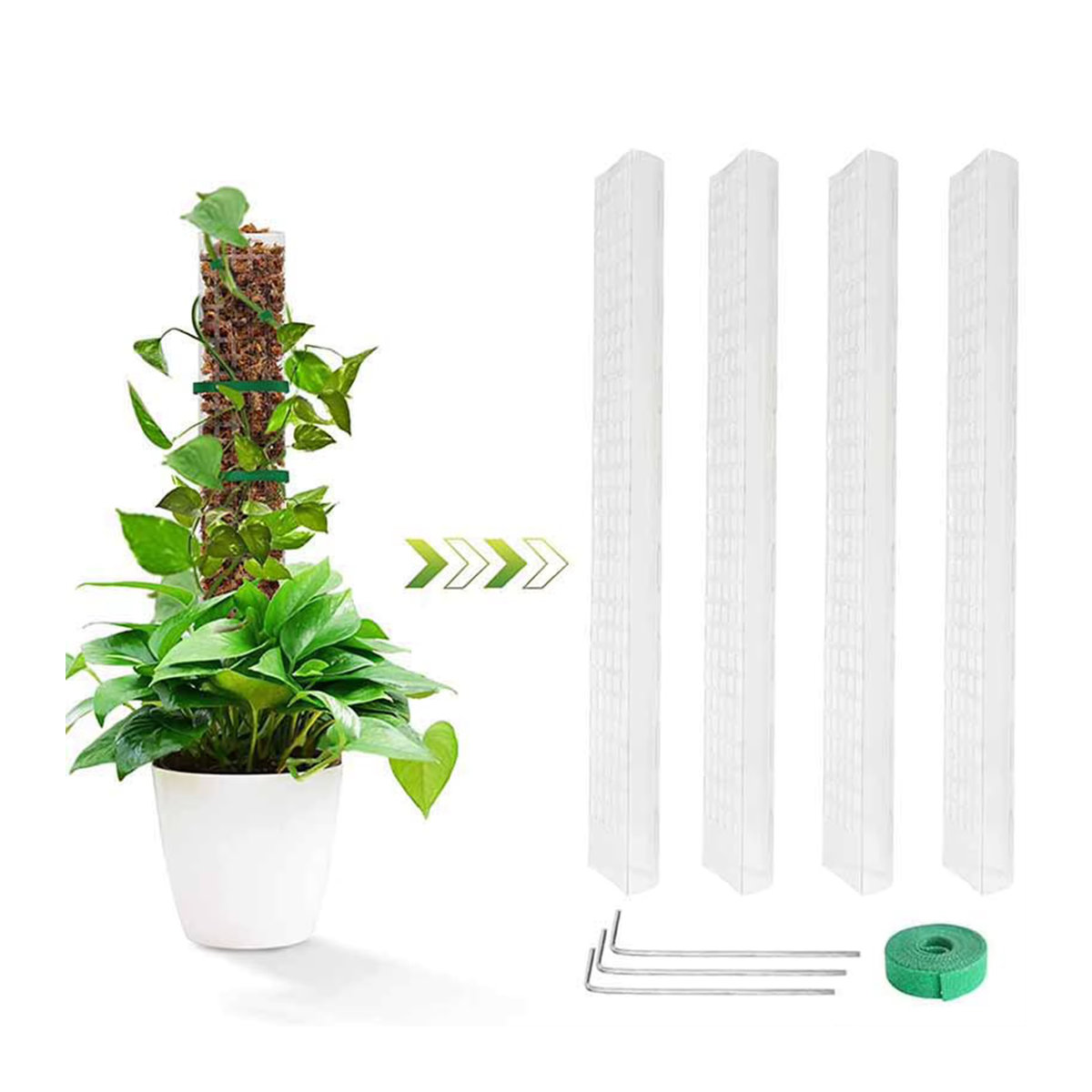 4er Set Kletterstäbe aus Moos mit großen Blättern für Monstera, Pothos und Geldbaum - Bild 2