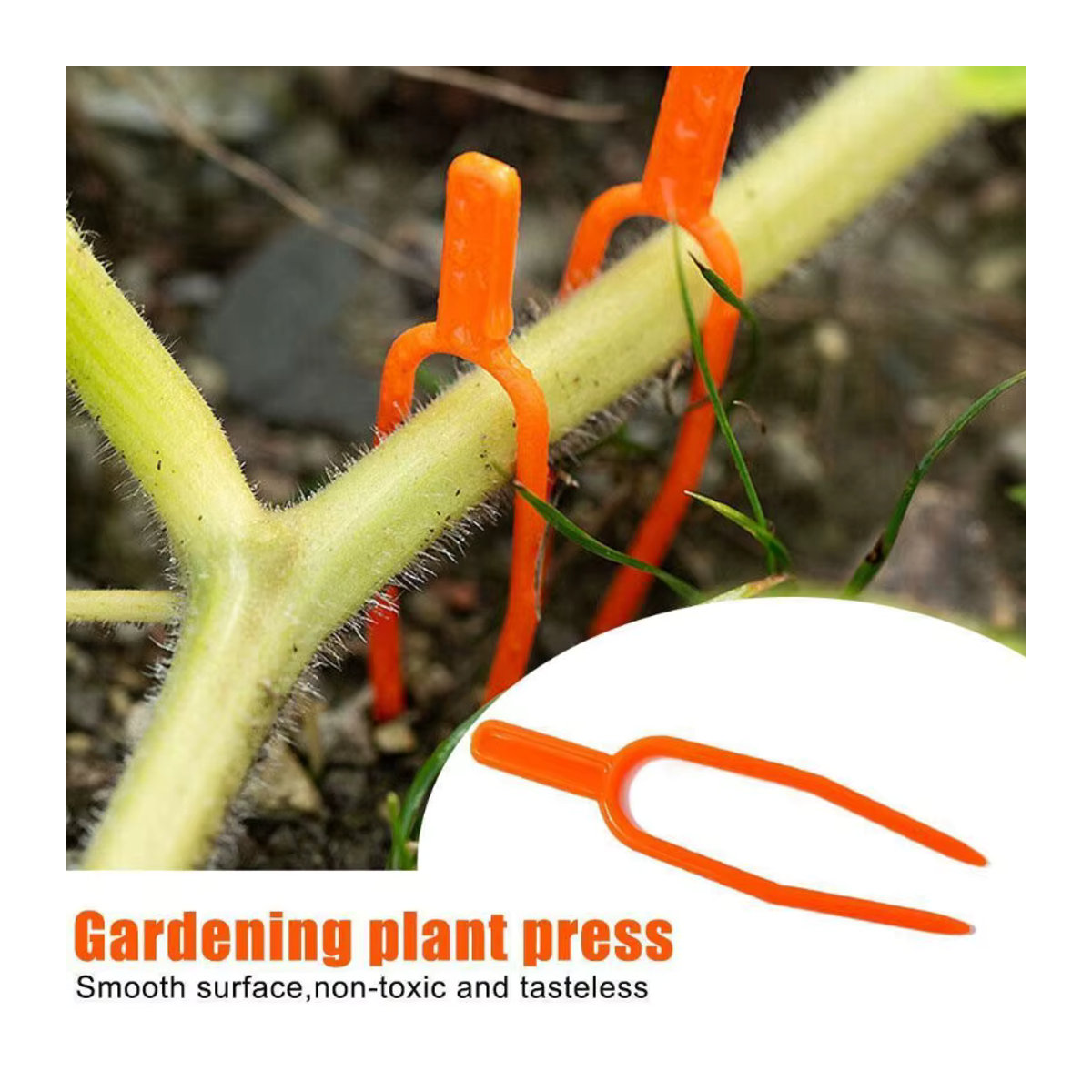 50 Stück Gartenpflanzen-Befestigungsclips und Pflanzgabeln für Reben, Erdbeeren und Wassermelonen - Bild 2