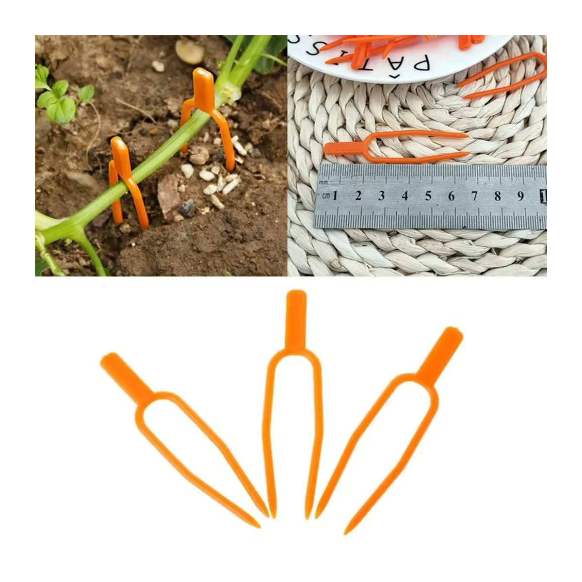50 Stück Gartenpflanzen-Befestigungsclips und Pflanzgabeln für Reben, Erdbeeren und Wassermelonen - Bild 3