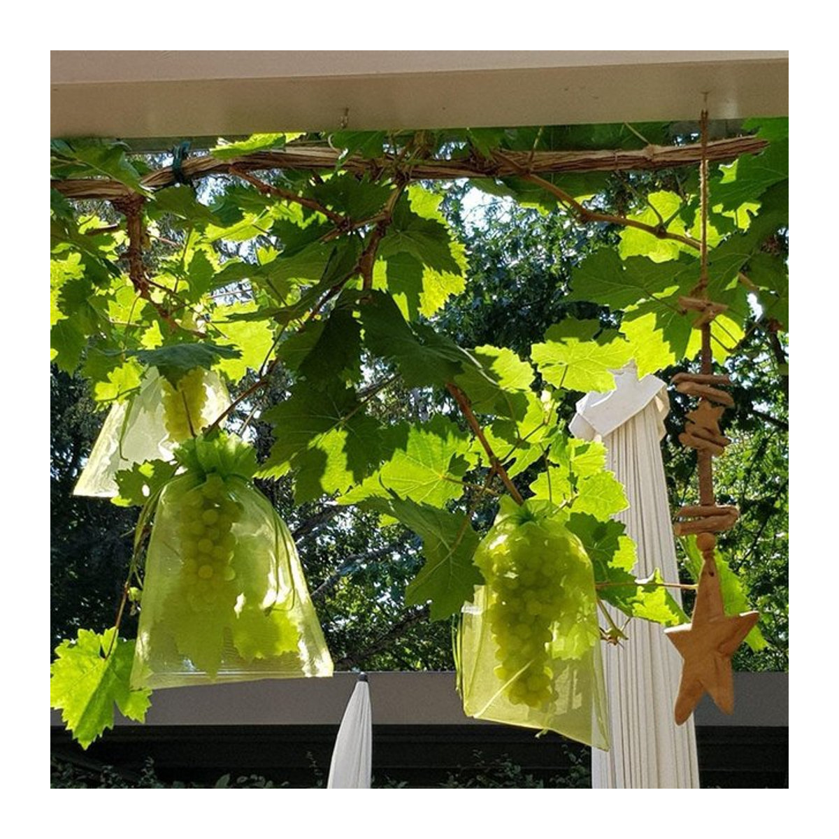 50 Stück Organza Beutel mit Kordelzug als Mesh-Geschenkverpackung und Vogelschutznetz für Obst und Garten - Bild 1