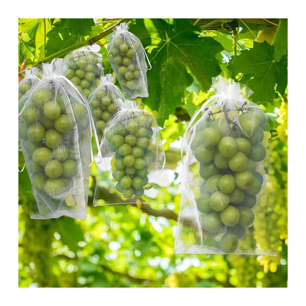 50 Stück Organza Beutel mit Kordelzug als Mesh-Geschenkverpackung und Vogelschutznetz für Obst und Garten - Bild 2