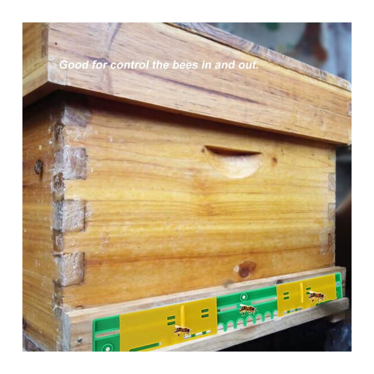 5er Set Kunststoff Bienenstock Eingangsscheiben für die Imkerei als Bienennest Tor für den Garten - Bild 2