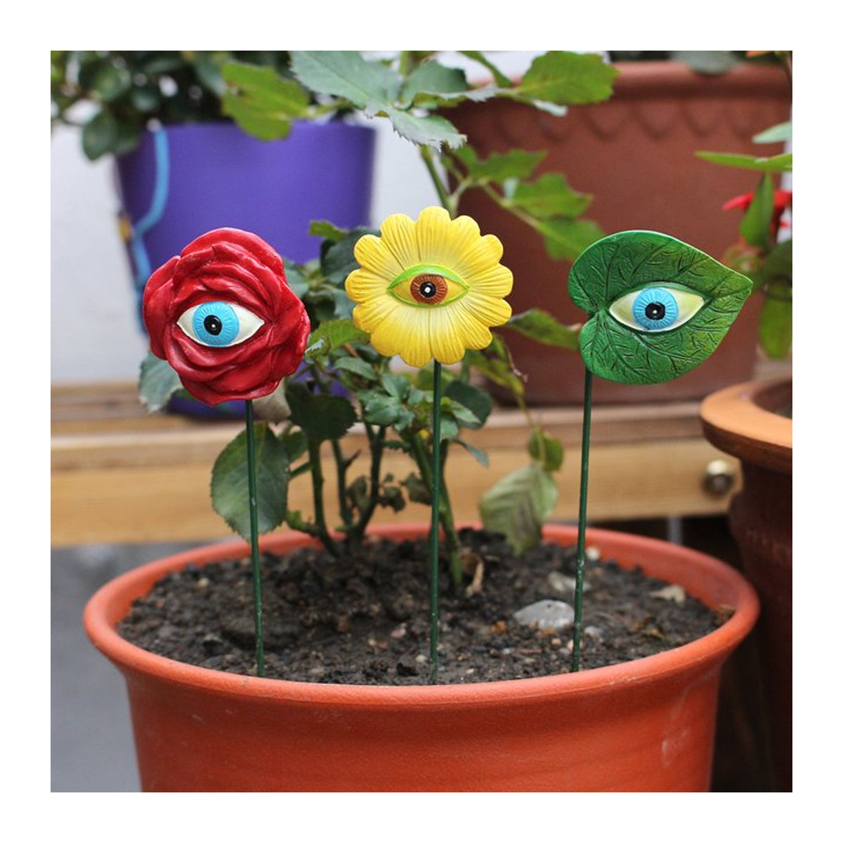 6er Set Miniatur-Pflanzenaugen als dekorative Figuren für deinen Märchengarten und Blumentöpfe - Bild 1