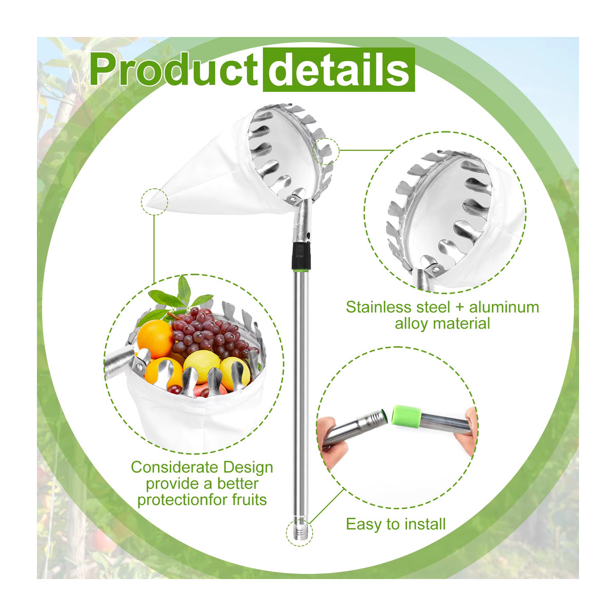 Adifare Obstpflücker Set aus Edelstahl mit ausziehbarer Stange und Gartenkorb in 1,5 m und 2,4 m - Bild 3