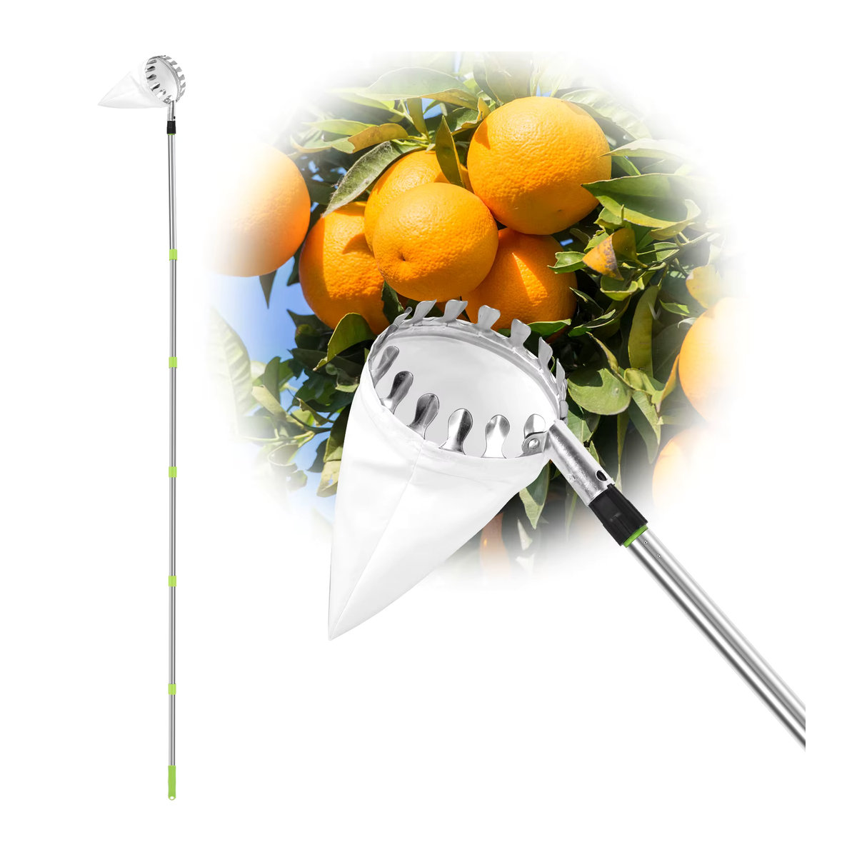 Adifare Obstpflücker Set aus Edelstahl mit ausziehbarer Stange und Gartenkorb in 1,5 m und 2,4 m - Bild 6