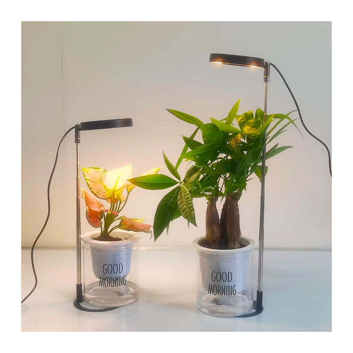 Aesyzo LED Pflanzenwachstumslicht mit Vollspektrum, höhenverstellbare Wachstumslampe mit automatischem Timer für Zimmerpflanzen, minimalistisches Design, 5 V - Bild 2