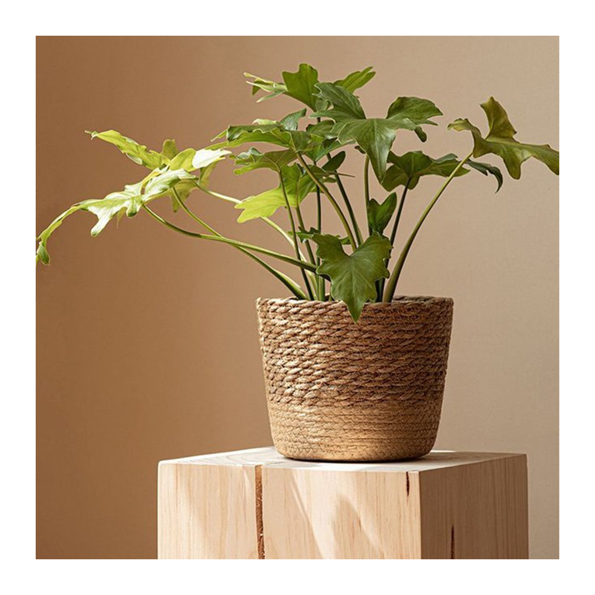 Aihogard Weidenkorb aus Rattan und Stroh in Beige, handgefertigter Blumenkorb im Bohemian-Stil für deine Topfpflanzen - Bild 1