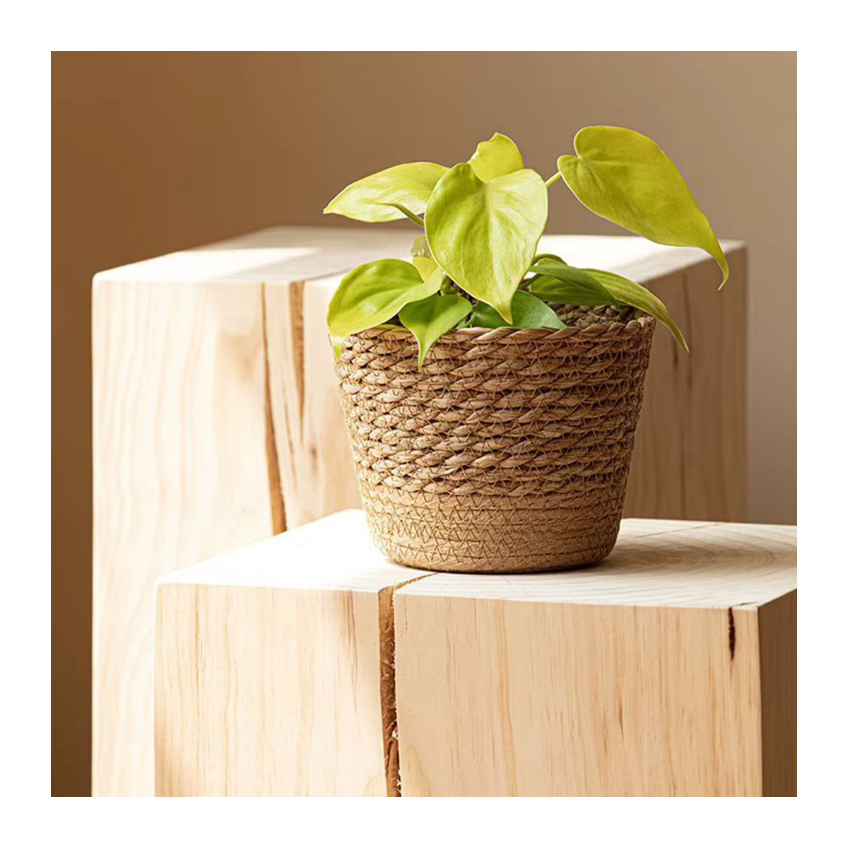 Aihogard Weidenkorb aus Rattan und Stroh in Beige, handgefertigter Blumenkorb im Bohemian-Stil für deine Topfpflanzen - Bild 3
