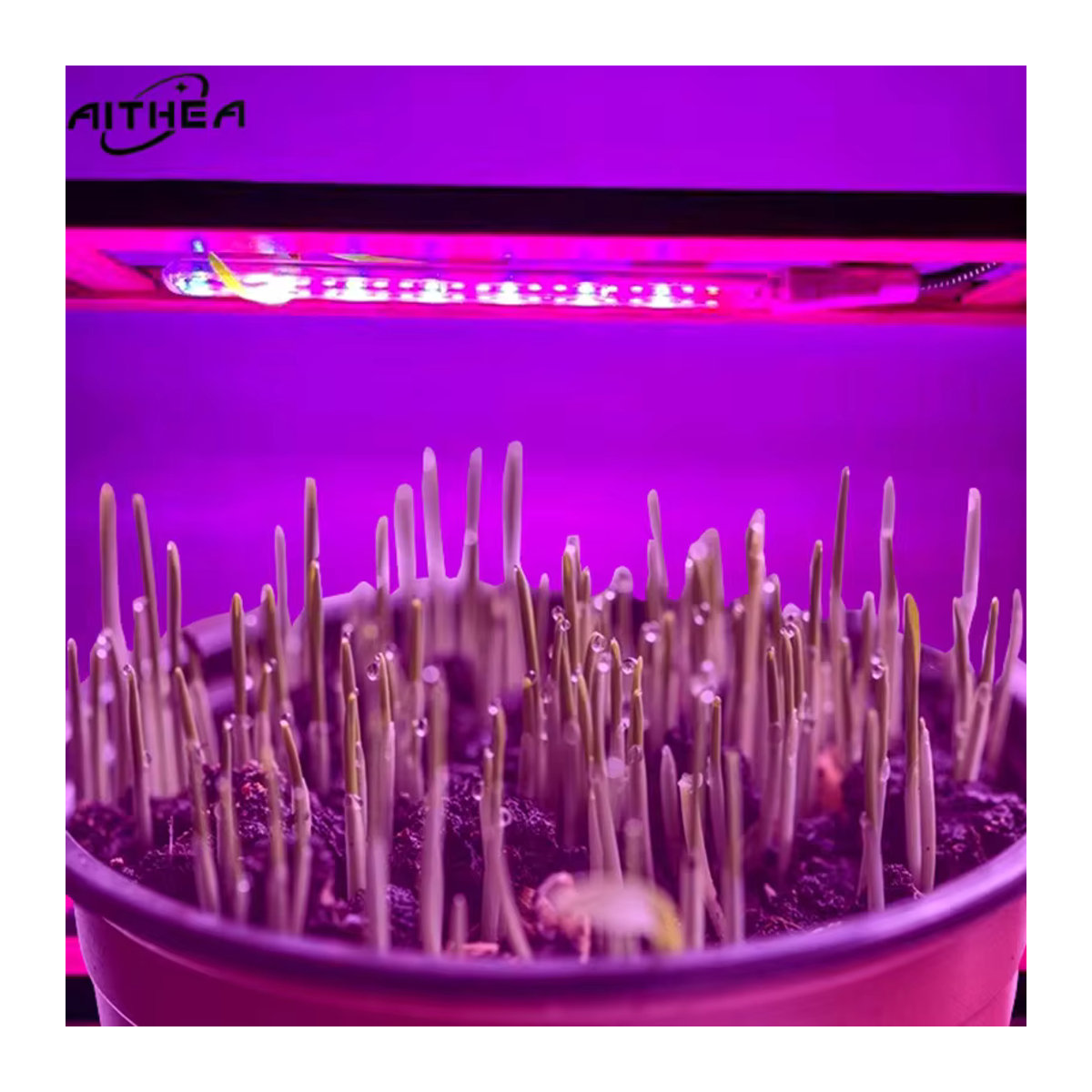AITHEA Flexibler Schlauch Innen-Gewächshaus Phyto USB-Lampe 5V LED Vollspektrum-Wachstumslampe für Sukkulenten, Saatgut und Hydrokultur-Beleuchtung - Bild 2