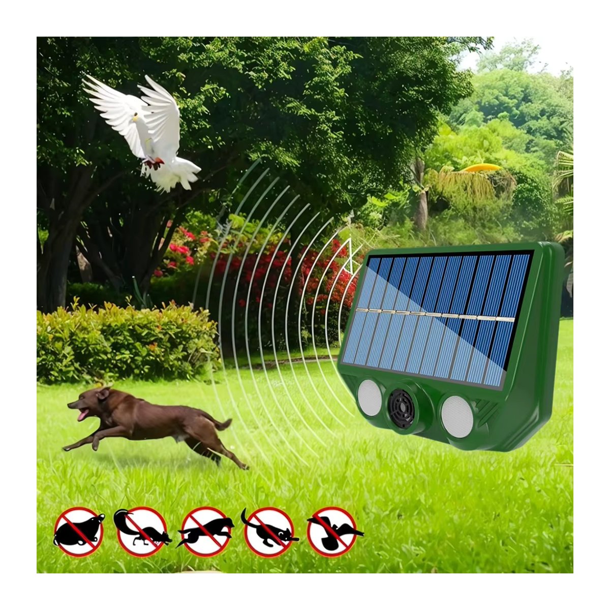 ALLOYSEED Solar Tier Repellent Ultraschall Schädlingsabwehr mit Sonar für Outdoor zur Abschreckung von Hunden, Katzen und Vögeln - Bild 3