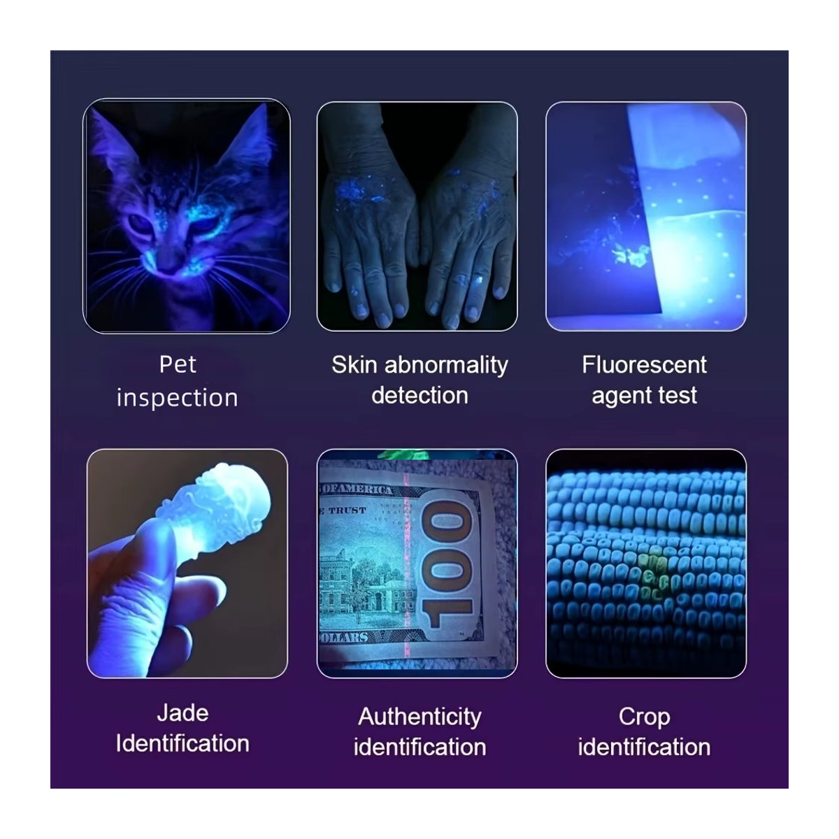 Alonefire UV-Taschenlampe mit 200 W und 10 x 365 nm LED, USB wiederaufladbare Schwarzlicht-Taschenlampe zur Detektion von Urinflecken, Skorpionen, Geld und Leuchtstoffen - Bild 6