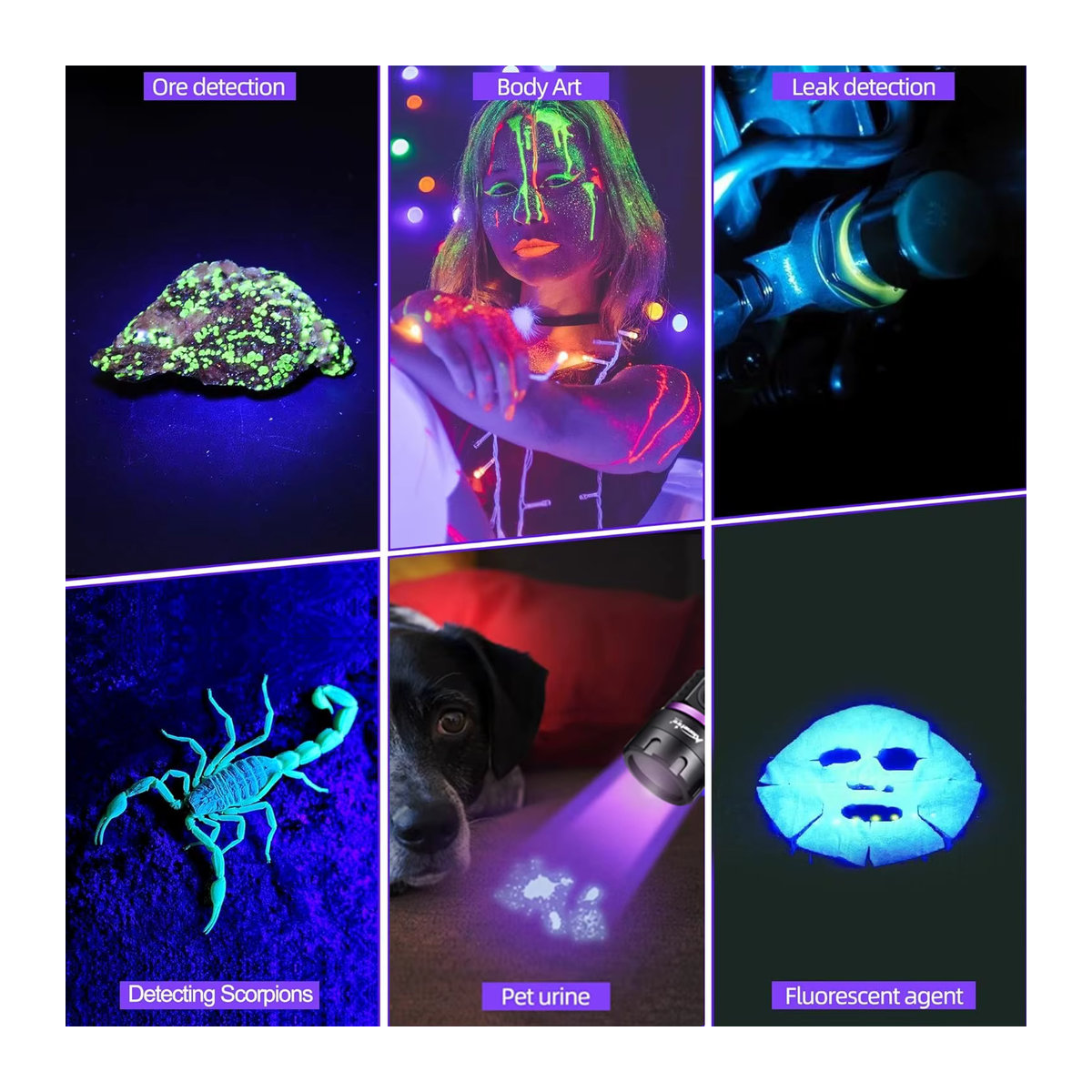 Alonefire UV-Taschenlampe mit 395 nm und 365 nm für UV-Licht Detektion von Urinflecken, Mineralien und Skorpionen via USB-Ladefunktion - Bild 6