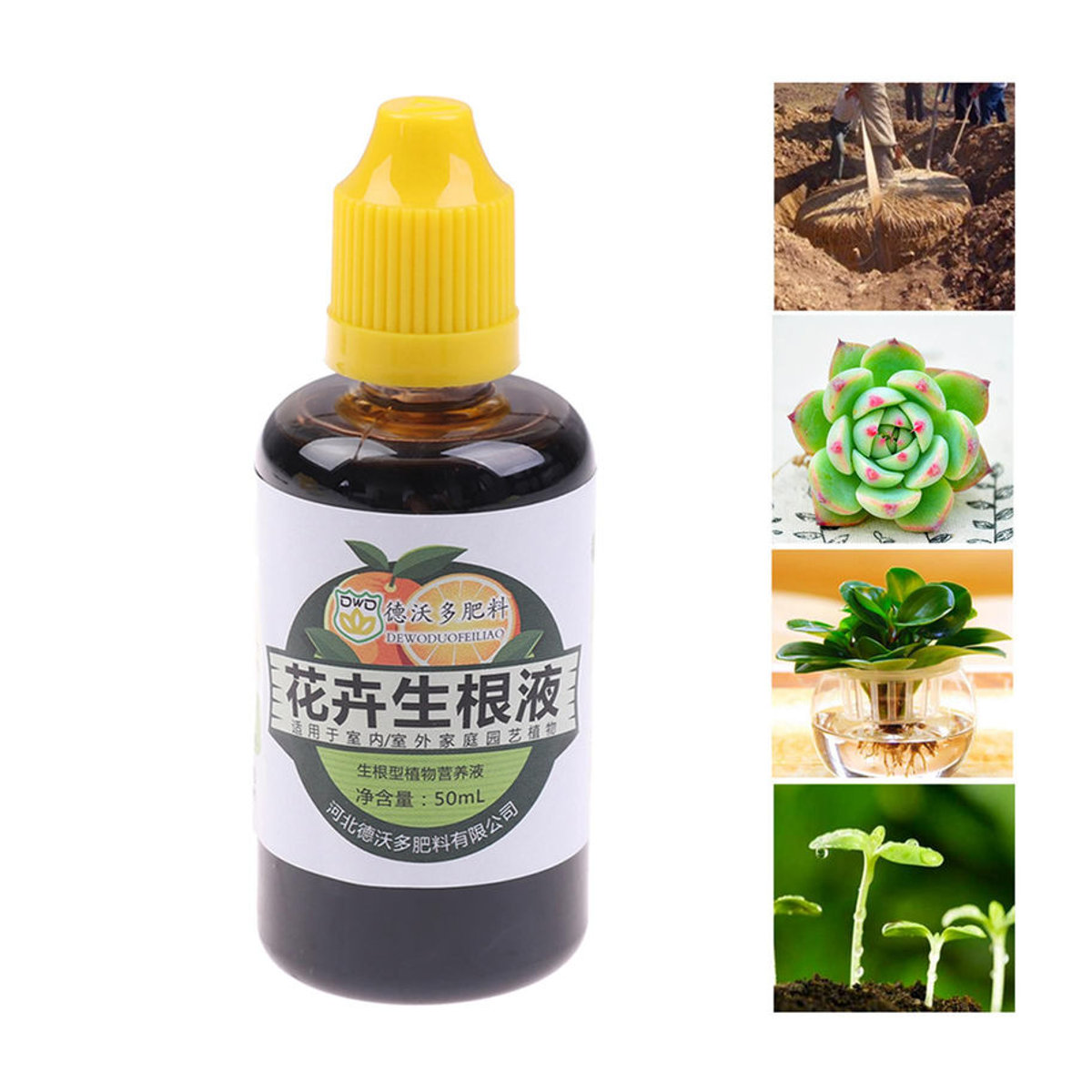 Amusedly Wurzelhormon Flüssigdünger für Pflanzen und Blumen, Bunt, 50ml - Bild 5