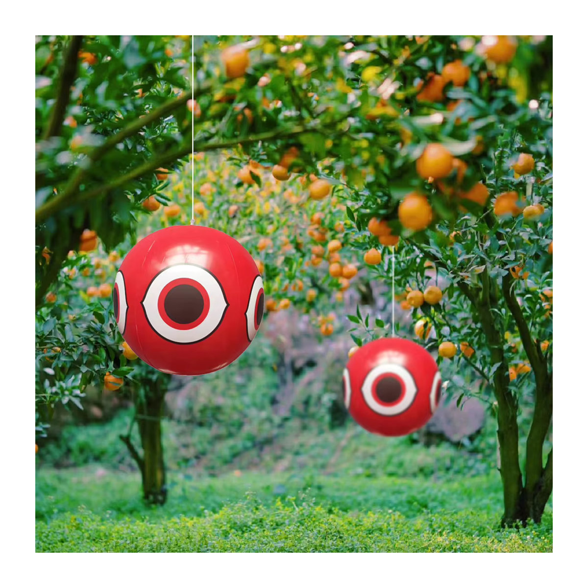 APWIKOGER Aufblasbarer Augen-Ballon zur visuellen Vogelabwehr, 40 cm Durchmesser, Repellent für den Garten und Außenbereich - Bild 2