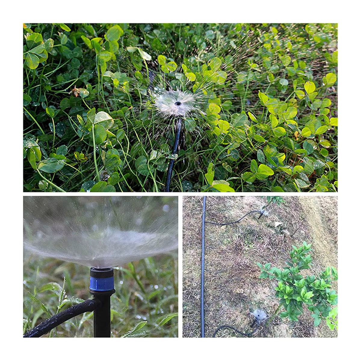APWIKOGER Automatisches Tropfbewässerungssystem für Pflanzen und Blumen, 10-50 Stück Bewässerungsspitzen für den Innen- und Außenbereich - Bild 4