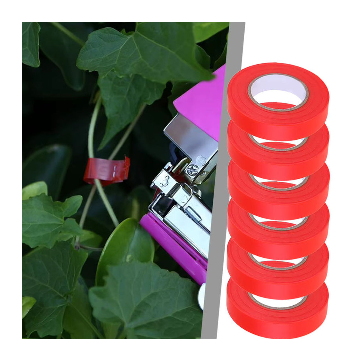 APWIKOGER Pflanzenbindewerkzeug Set mit Pflanzentape und Heftklammern in Rot oder Bunt - Bild 2