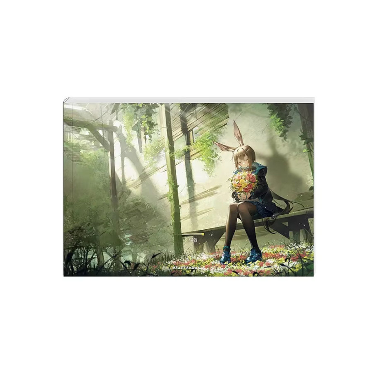 Arknights Offizielle Illustration Sammlung Buch Band 4 Mehrfarbiges Kunstalbum mit Amiya, Texas und Lappland - Bild 6