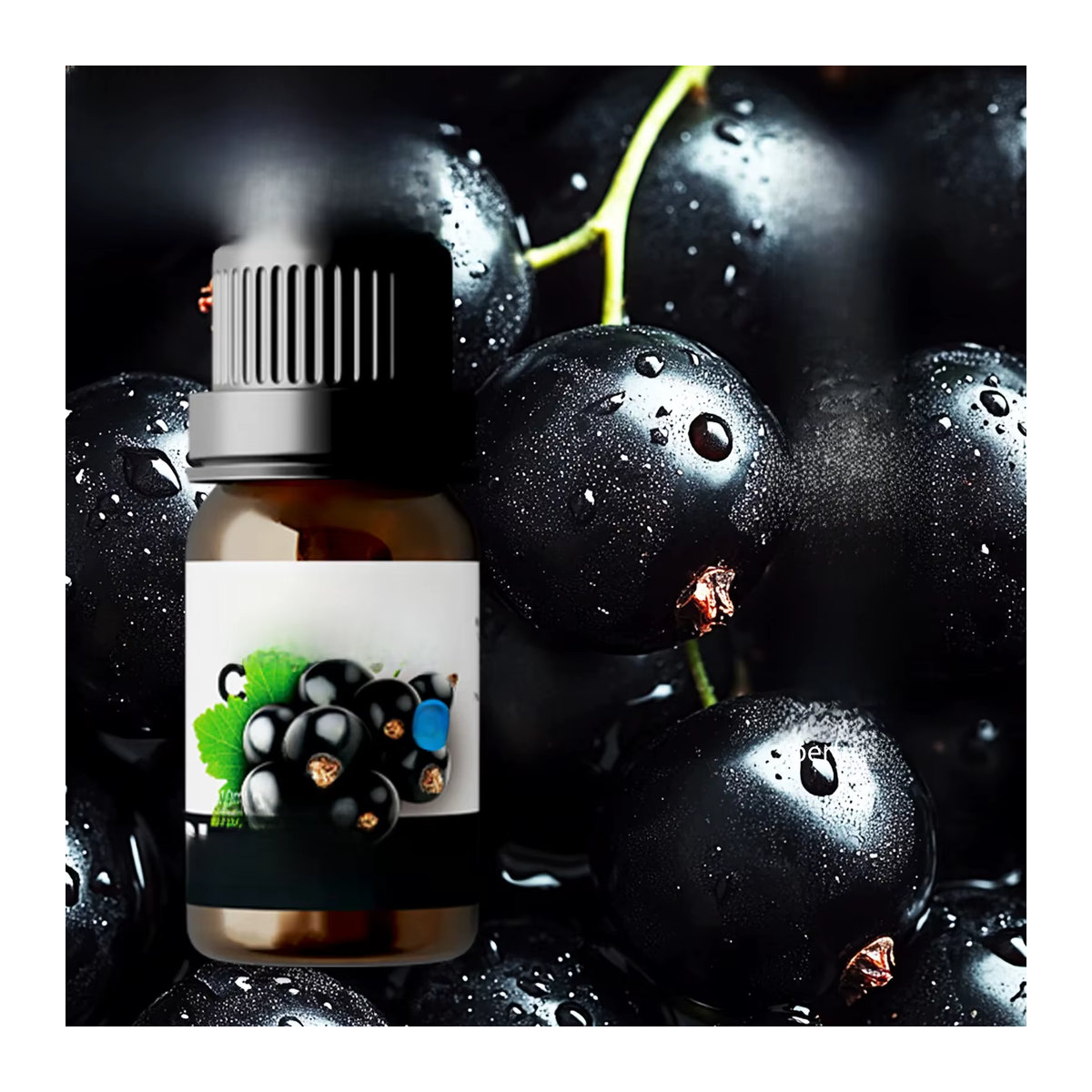 Ätherisches Öl Schwarze Johannisbeere von EMBRACEX, 10 ml, Fruchtig - Bild 3