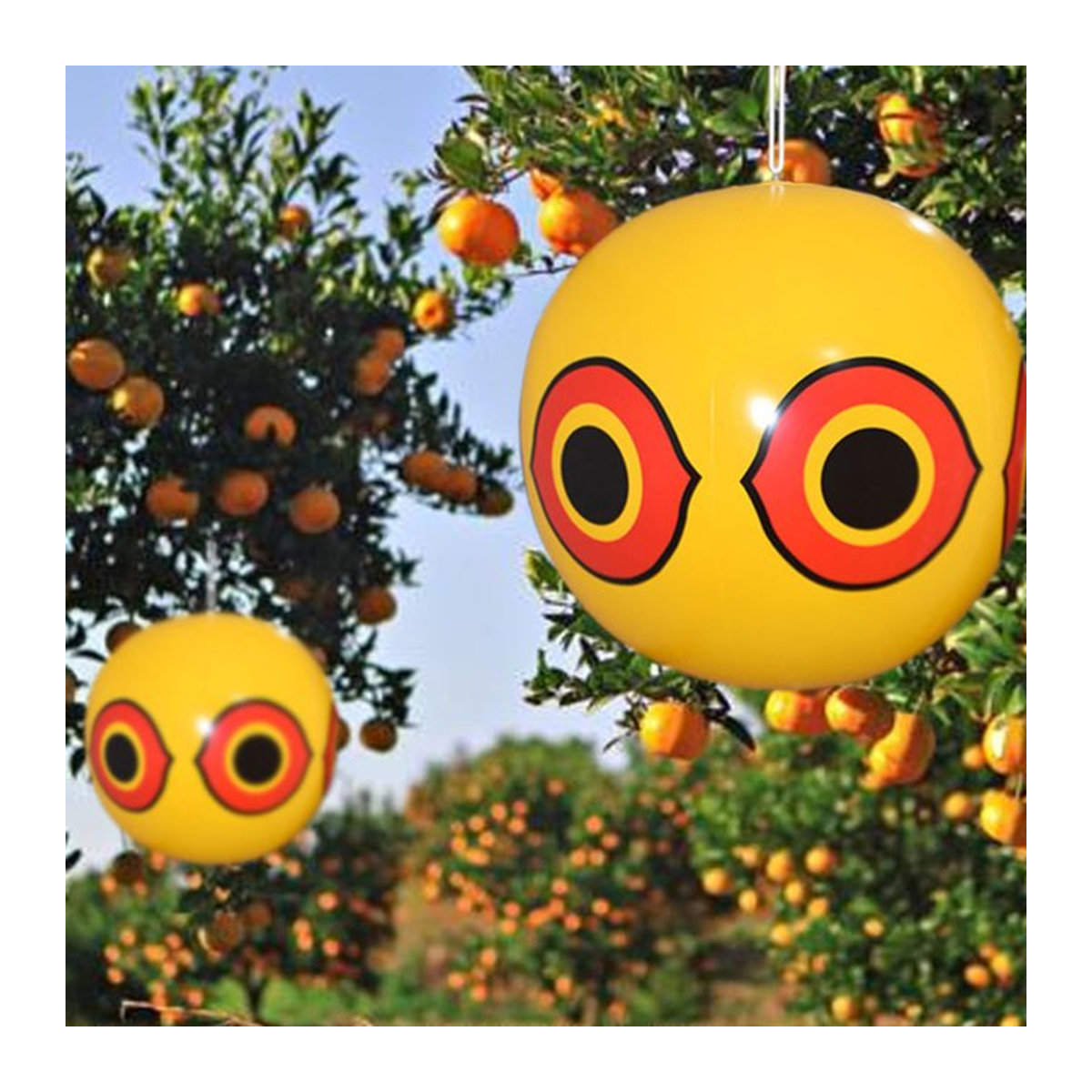 Aufblasbare Vogelabwehr-Kugeln mit Augen zur Schädlingsbekämpfung im Garten, Durchmesser: 40 cm, Farbe: Mehrfarbig, Material: PVC - Bild 1