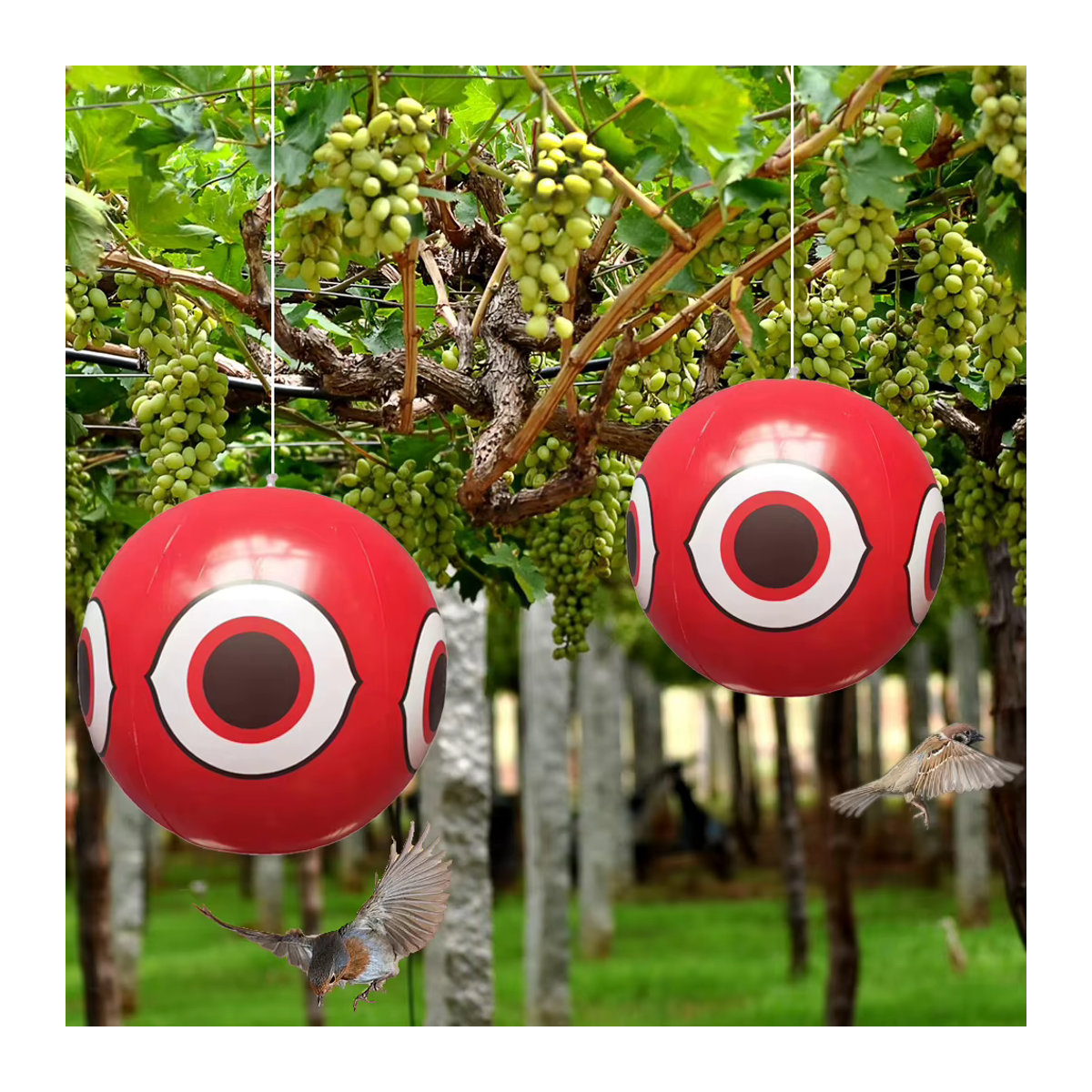 Aufblasbare Vogelabwehr-Kugeln mit Augen zur Schädlingsbekämpfung im Garten, Durchmesser: 40 cm, Farbe: Mehrfarbig, Material: PVC - Bild 4