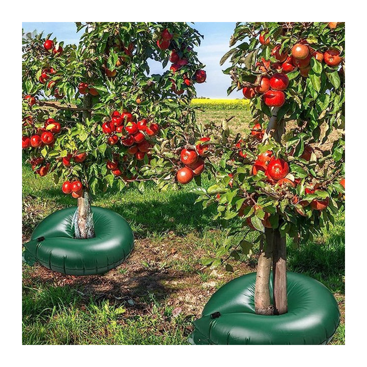 Automatisches Baum-Bewässerungssystem mit langsamer Wasserabgabe für Garten und Rasen - Bild 1