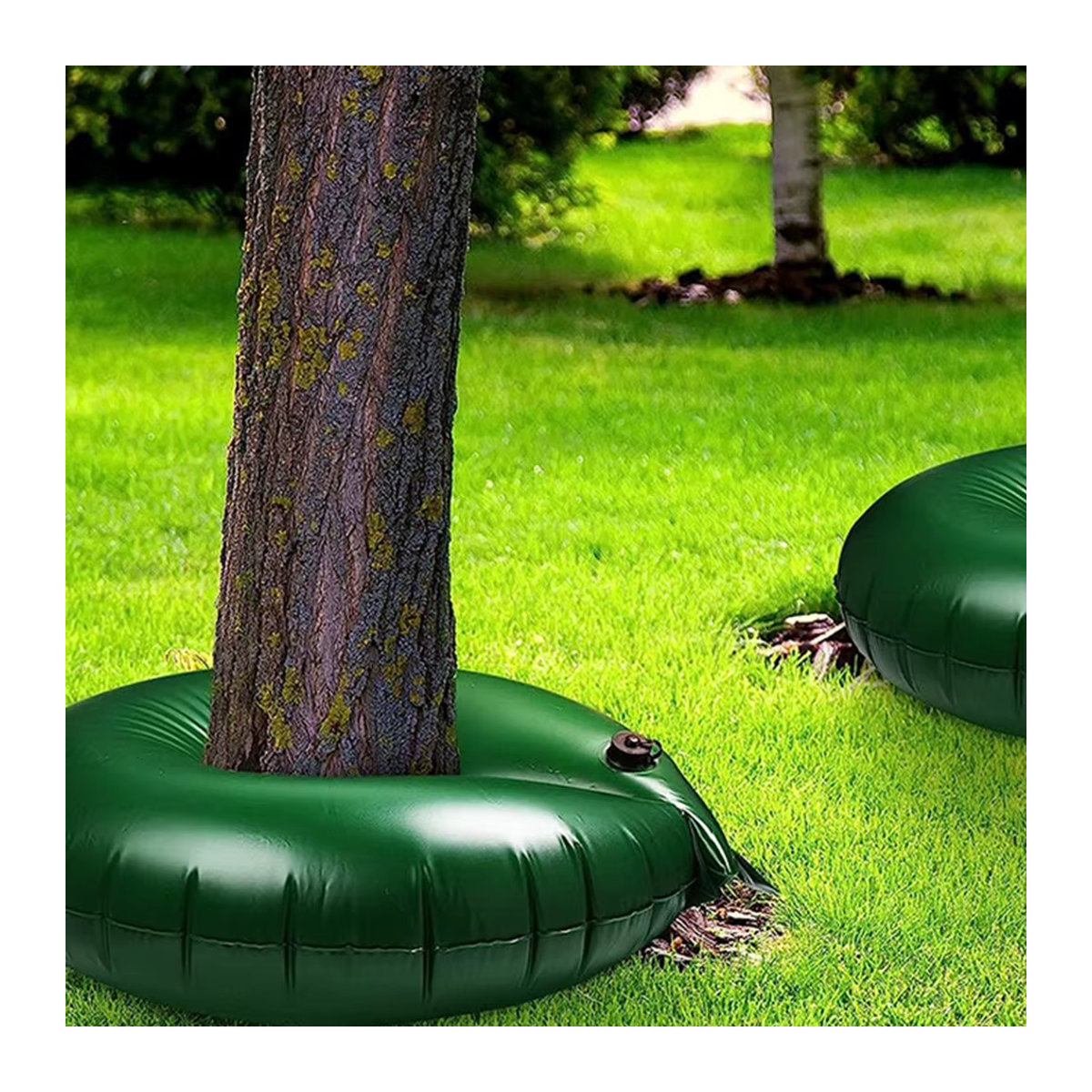 Automatisches Baum-Bewässerungssystem mit langsamer Wasserabgabe für Garten und Rasen - Bild 2
