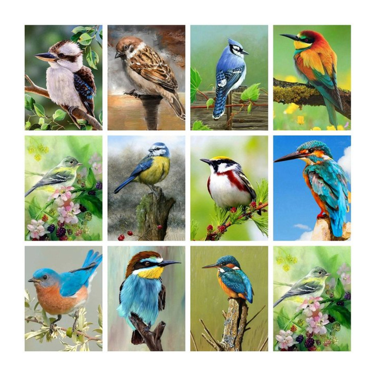 AZQSD Diamant-Stickerei Vögel als Tier-Mosaik mit runden Bohrern, mehrfarbig, B x H: 30 x 40 cm - Bild 1