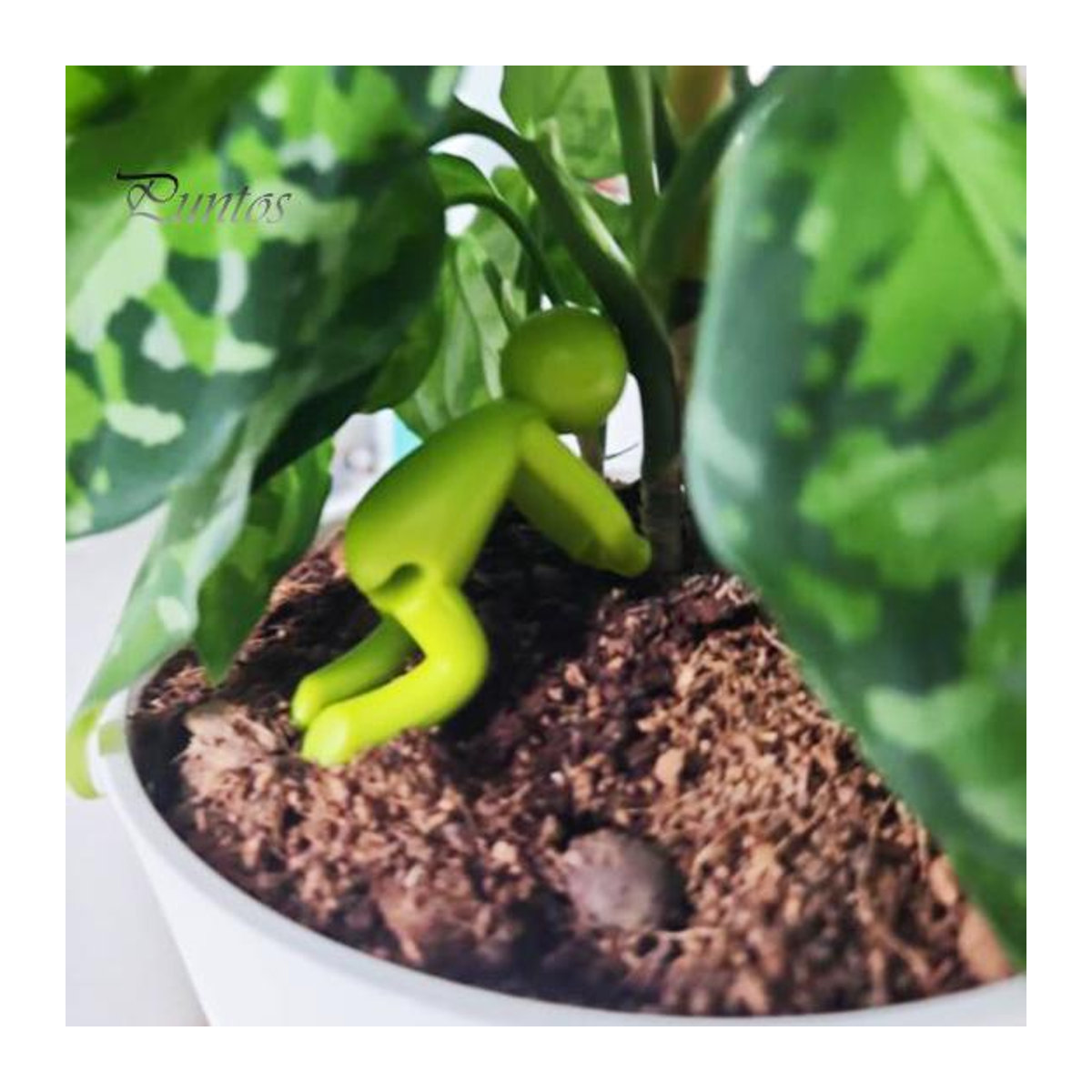 Beautiful Garden Pflanzenstütze Mini-Mann als wasserdichter Pflanzenhalter für Schnittblumen und Sprossen, 6er Pack - Bild 6