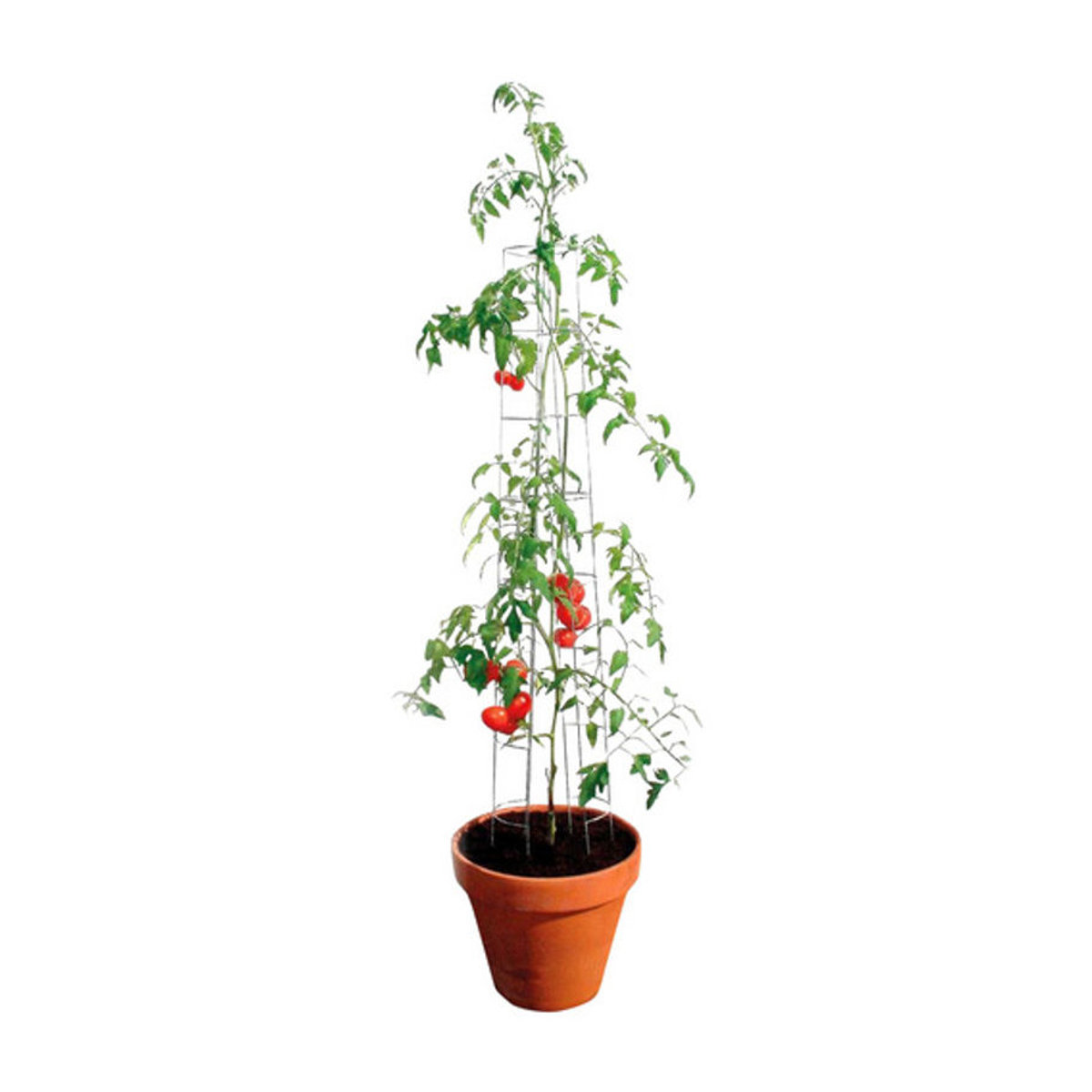 Bellissa Tomatenturm aus Stahl in Silber als Rankhilfe und Spalier mit einer Höhe von 120 cm - Bild 2